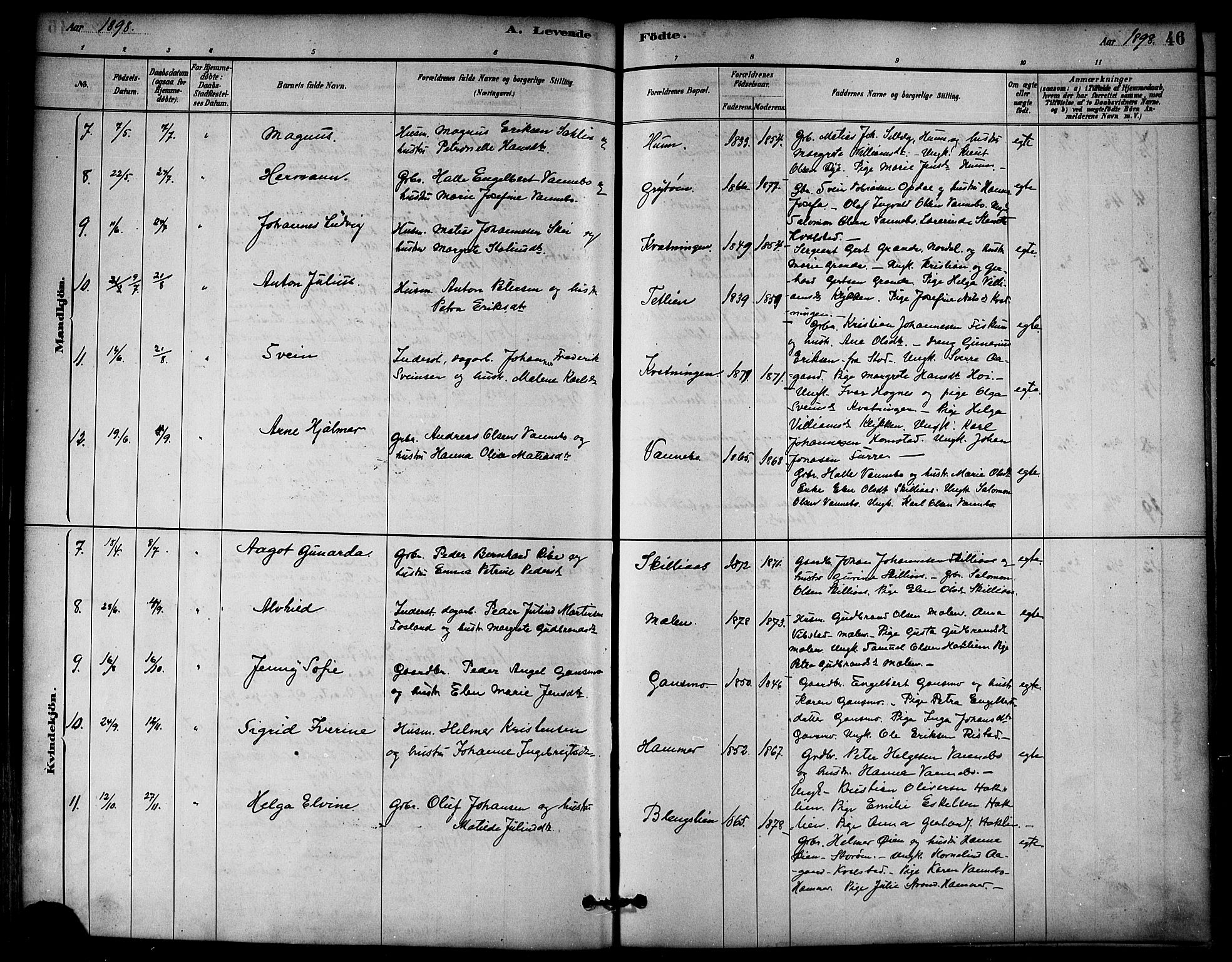 Ministerialprotokoller, klokkerbøker og fødselsregistre - Nord-Trøndelag, SAT/A-1458/766/L0563: Parish register (official) no. 767A01, 1881-1899, p. 46