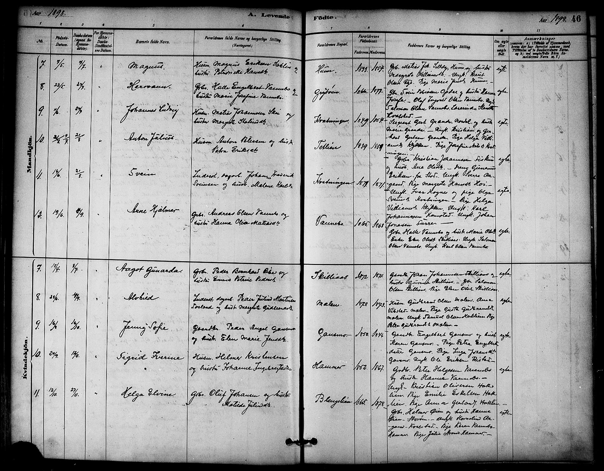 Ministerialprotokoller, klokkerbøker og fødselsregistre - Nord-Trøndelag, AV/SAT-A-1458/766/L0563: Parish register (official) no. 767A01, 1881-1899, p. 46