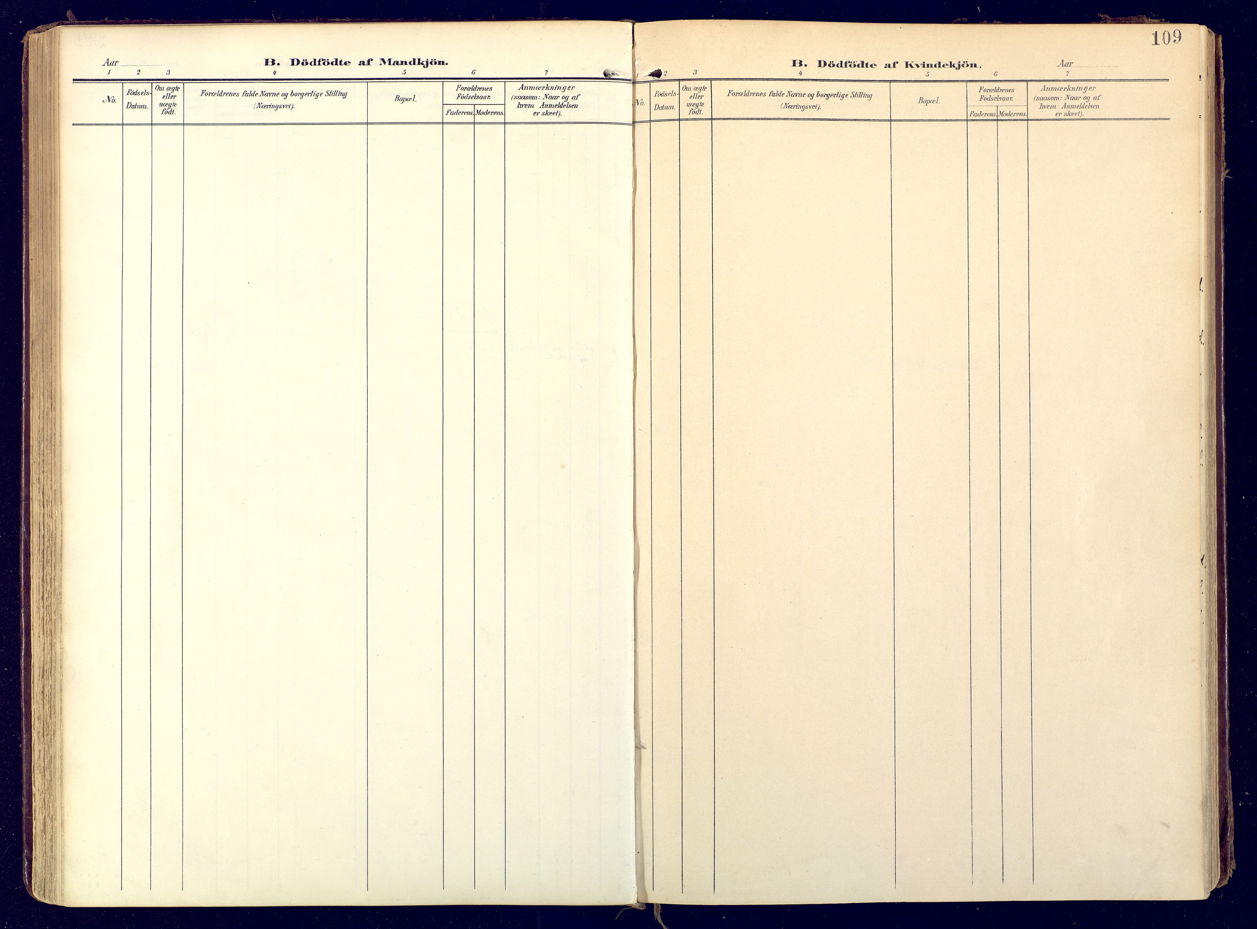 Karasjok sokneprestkontor, SATØ/S-1352/H/Ha: Parish register (official) no. 3, 1907-1926, p. 109