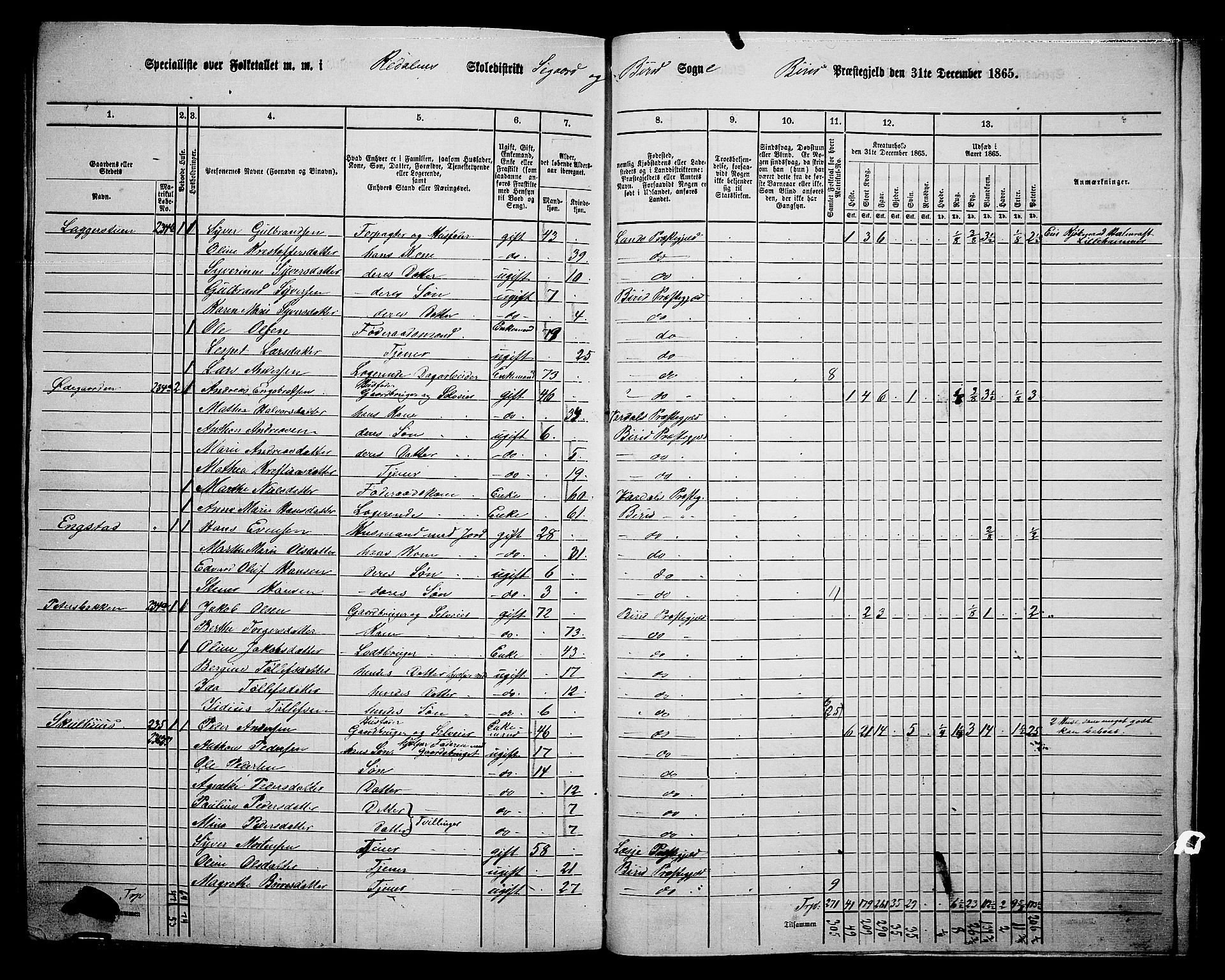 RA, 1865 census for Biri, 1865, p. 207