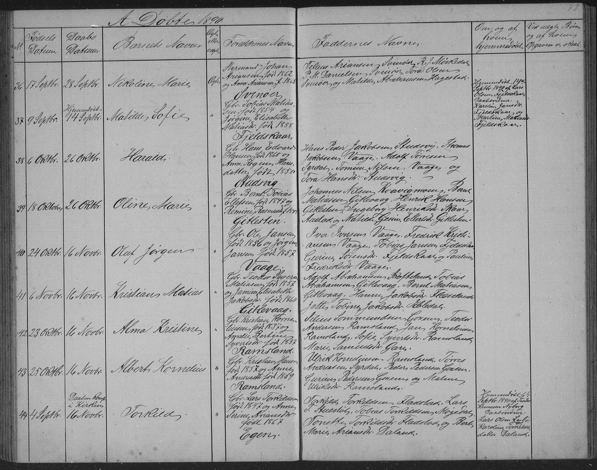 Sør-Audnedal sokneprestkontor, AV/SAK-1111-0039/F/Fb/Fba/L0003: Parish register (copy) no. B 3, 1879-1893, p. 75