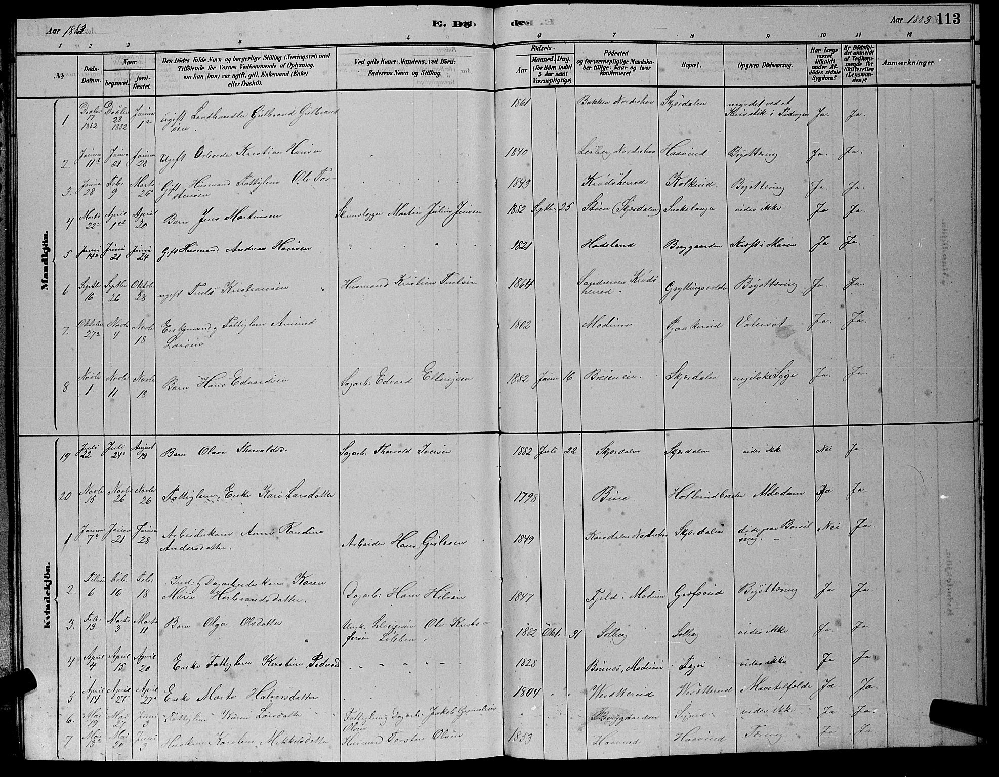 Hole kirkebøker, SAKO/A-228/G/Gb/L0002: Parish register (copy) no. II 2, 1878-1889, p. 113