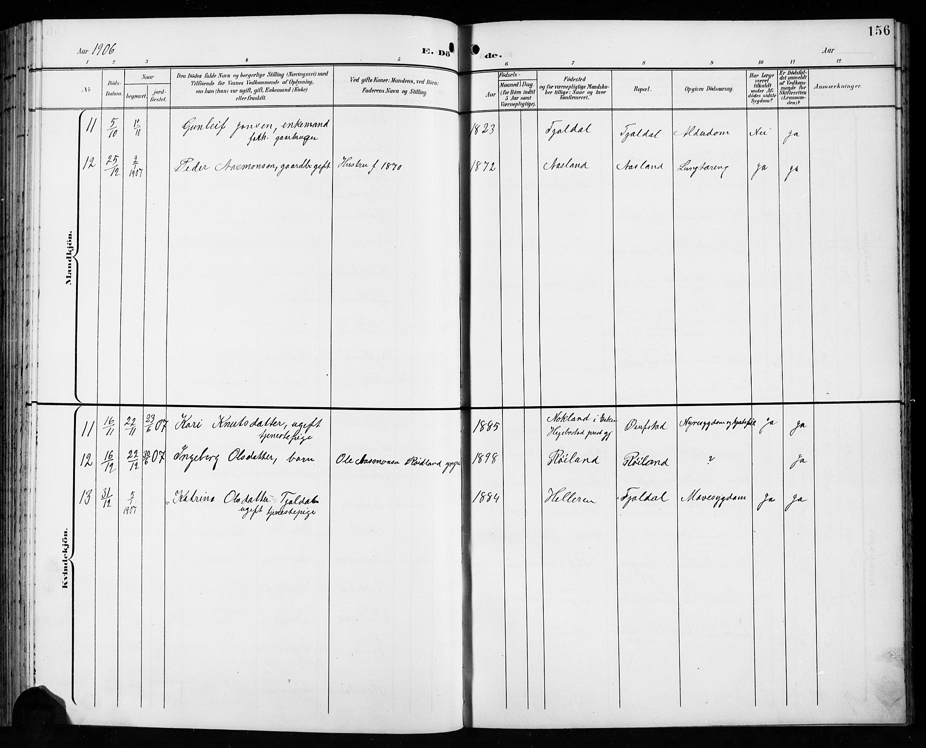 Åseral sokneprestkontor, SAK/1111-0051/F/Fb/L0003: Parish register (copy) no. B 3, 1900-1919, p. 156