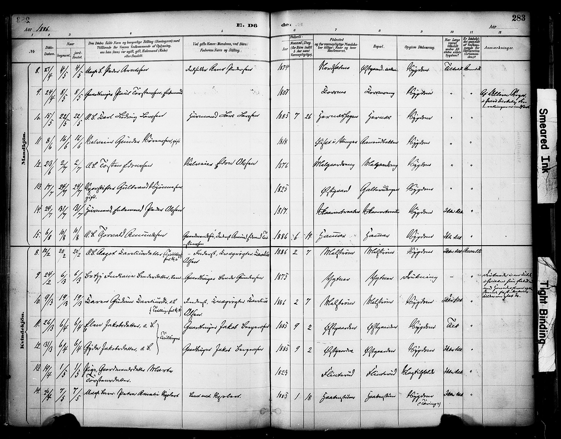 Sør-Odal prestekontor, AV/SAH-PREST-030/H/Ha/Haa/L0007: Parish register (official) no. 7, 1886-1925, p. 283