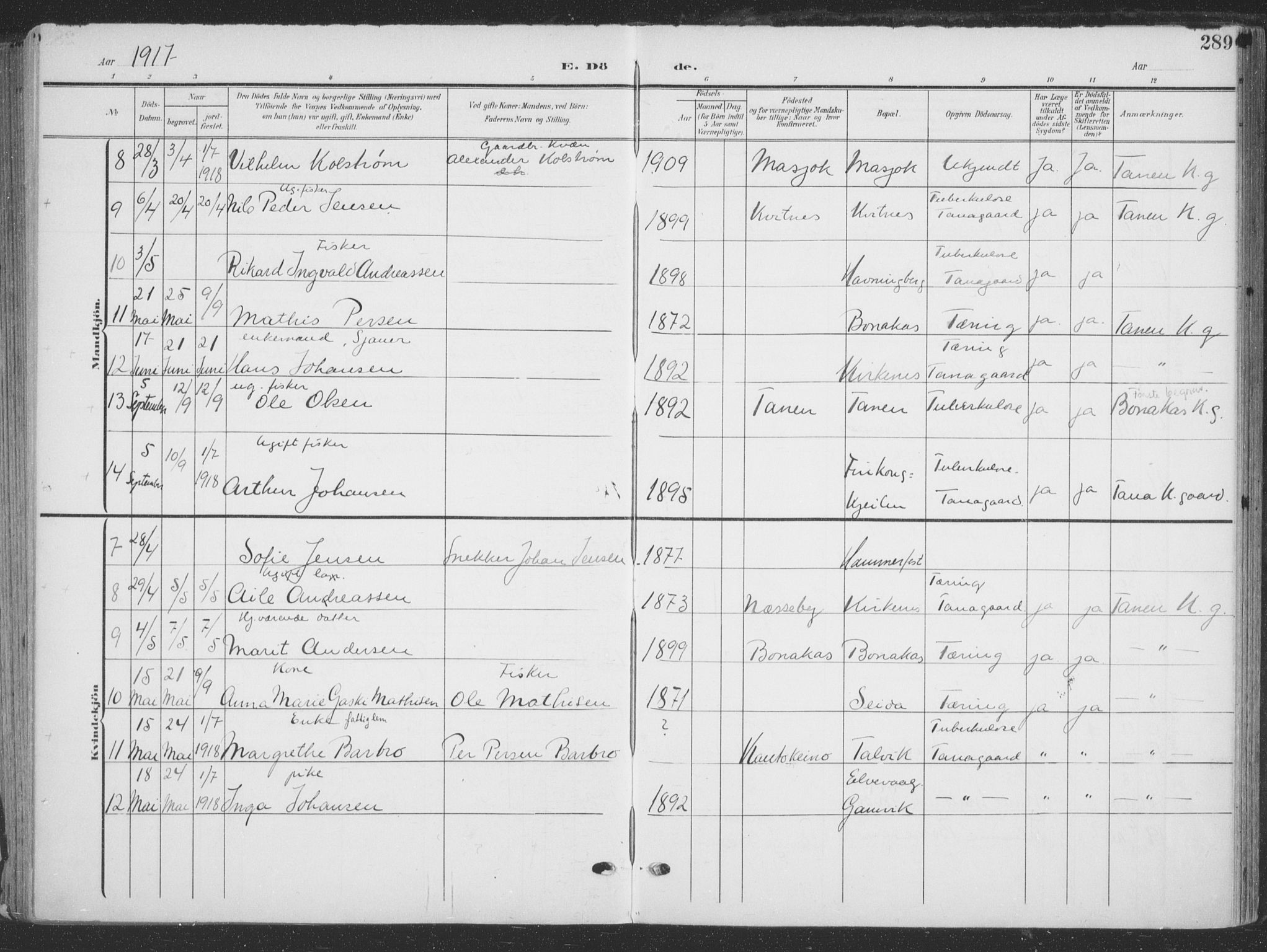 Tana sokneprestkontor, AV/SATØ-S-1334/H/Ha/L0007kirke: Parish register (official) no. 7, 1904-1918, p. 289