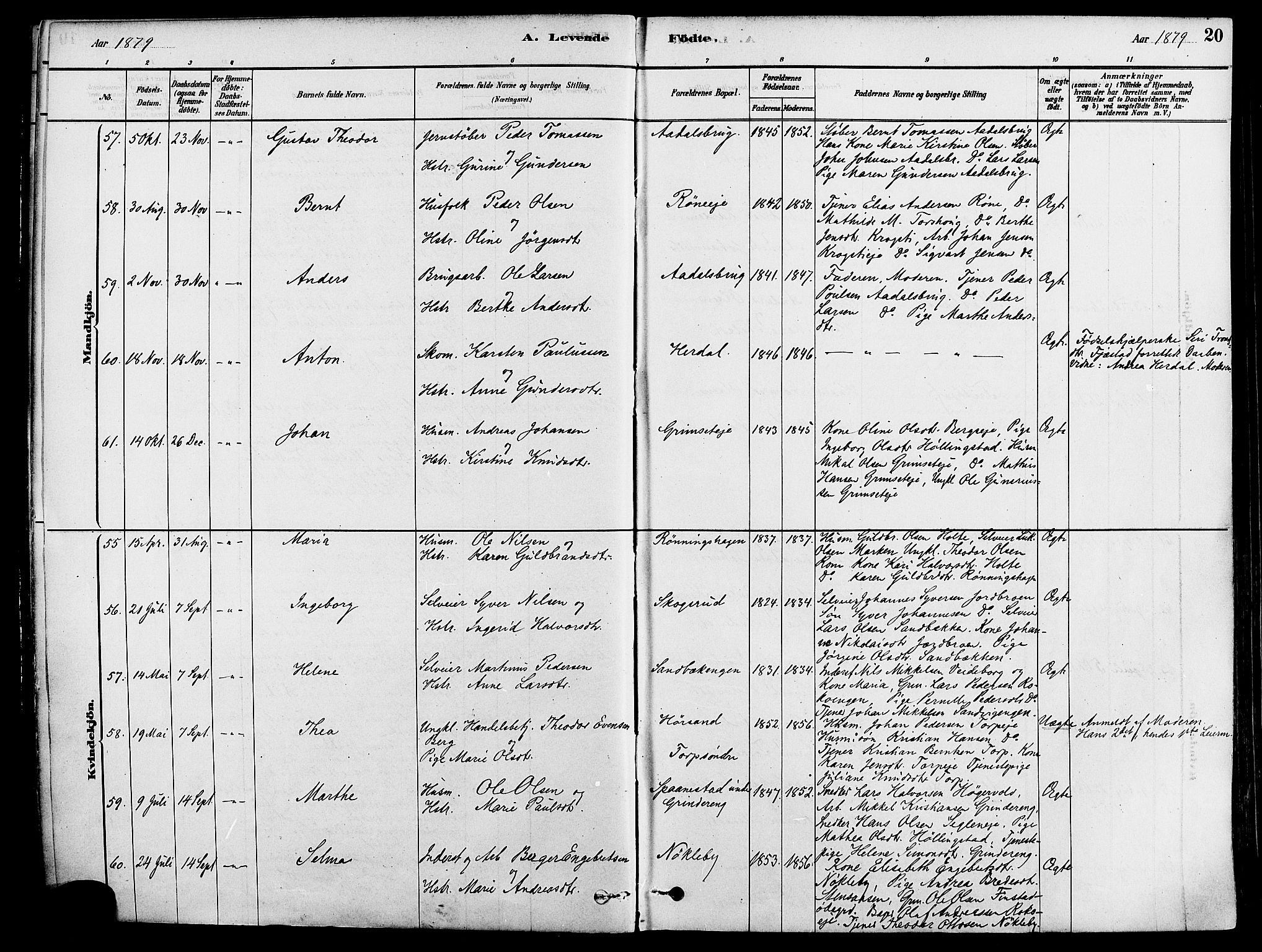 Løten prestekontor, AV/SAH-PREST-022/K/Ka/L0009: Parish register (official) no. 9, 1878-1891, p. 20