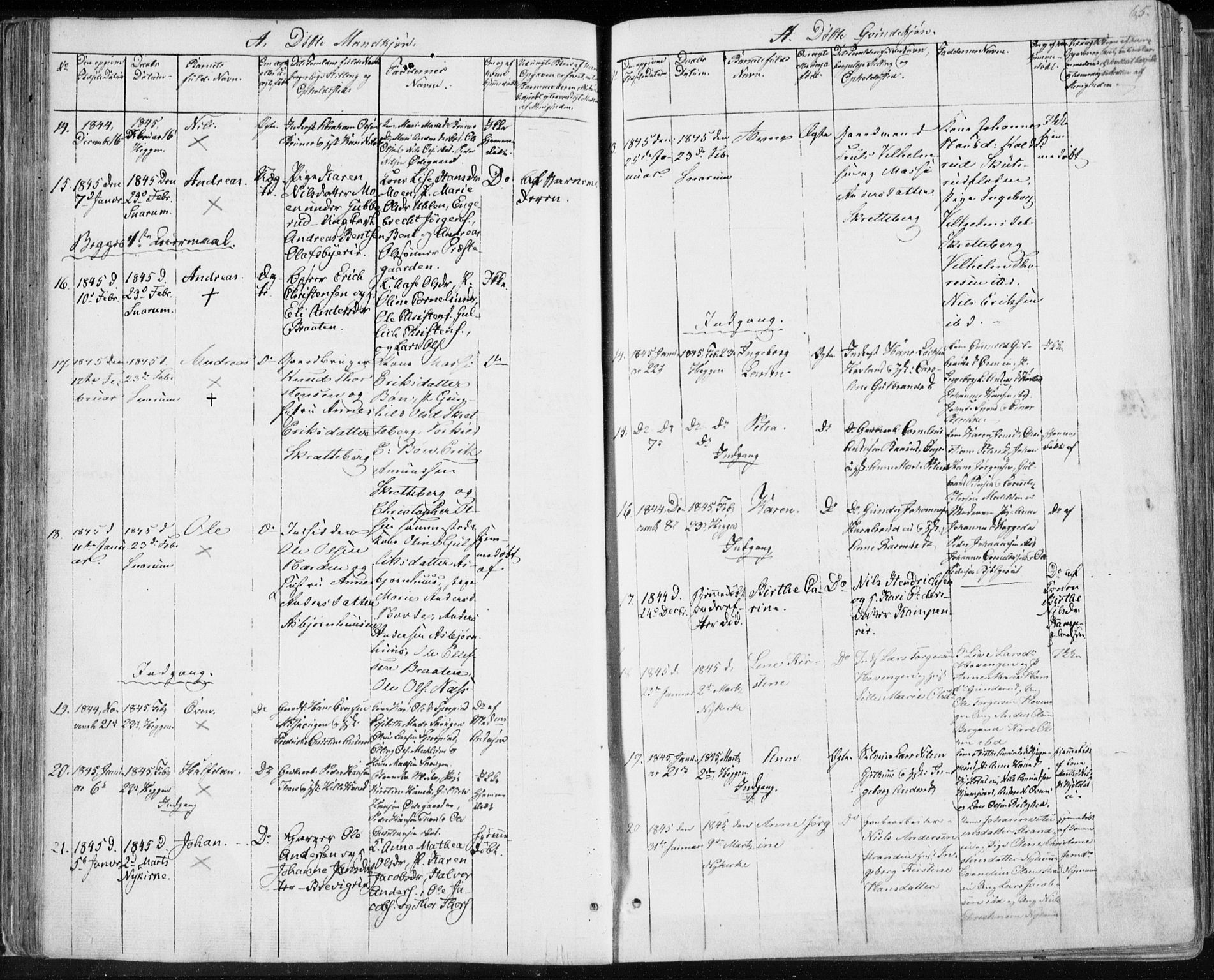 Modum kirkebøker, AV/SAKO-A-234/F/Fa/L0007: Parish register (official) no. 7, 1841-1850, p. 65