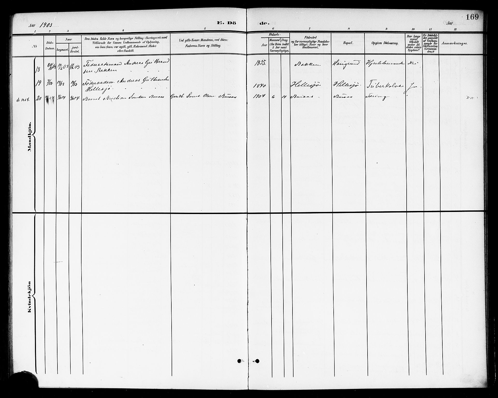 Høland prestekontor Kirkebøker, SAO/A-10346a/G/Gb/L0001: Parish register (copy) no. II 1, 1902-1919, p. 169