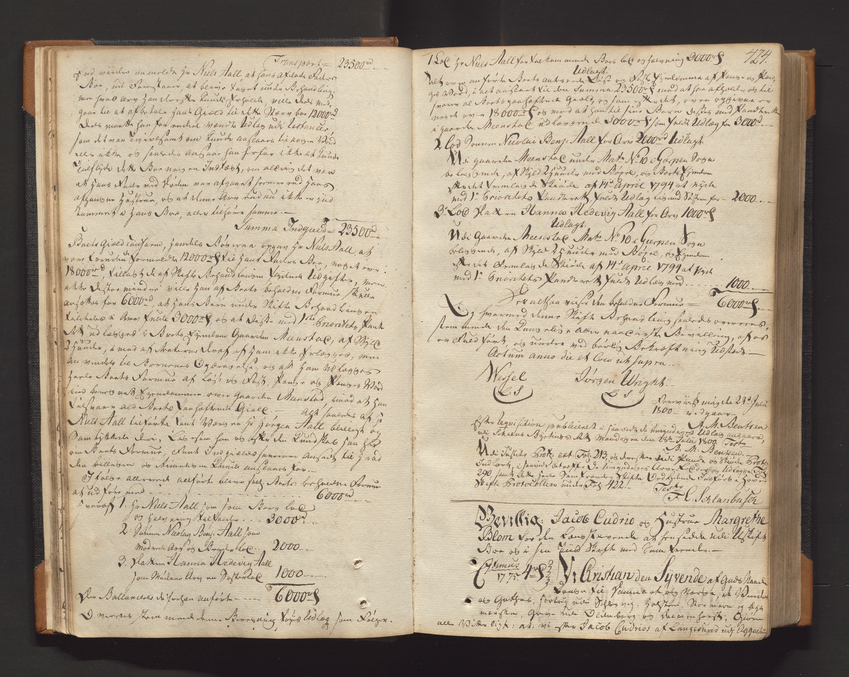 Skien byfogd, AV/SAKO-A-219/H/Hb/L0010b: Skifteprotokoll, 1800-1807, p. 423b-424a