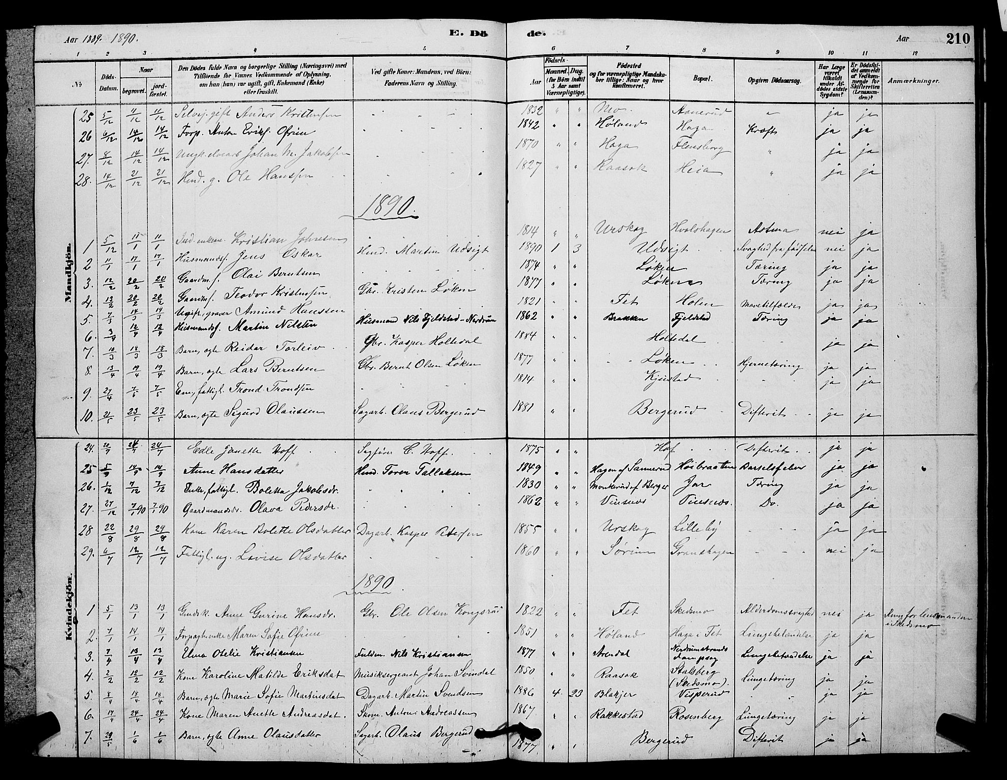 Fet prestekontor Kirkebøker, AV/SAO-A-10370a/G/Ga/L0006: Parish register (copy) no. I 6, 1878-1891, p. 210