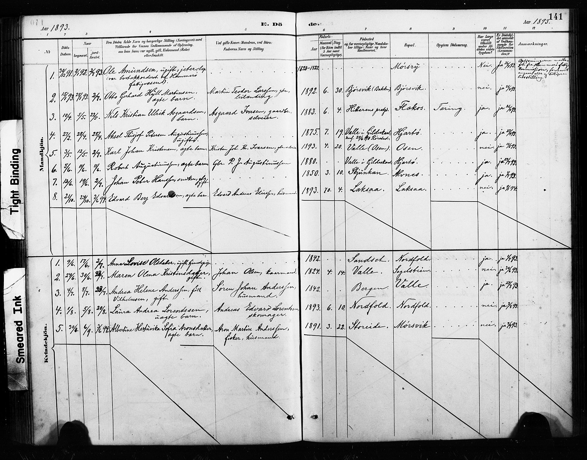 Ministerialprotokoller, klokkerbøker og fødselsregistre - Nordland, AV/SAT-A-1459/858/L0834: Parish register (copy) no. 858C01, 1884-1904, p. 141