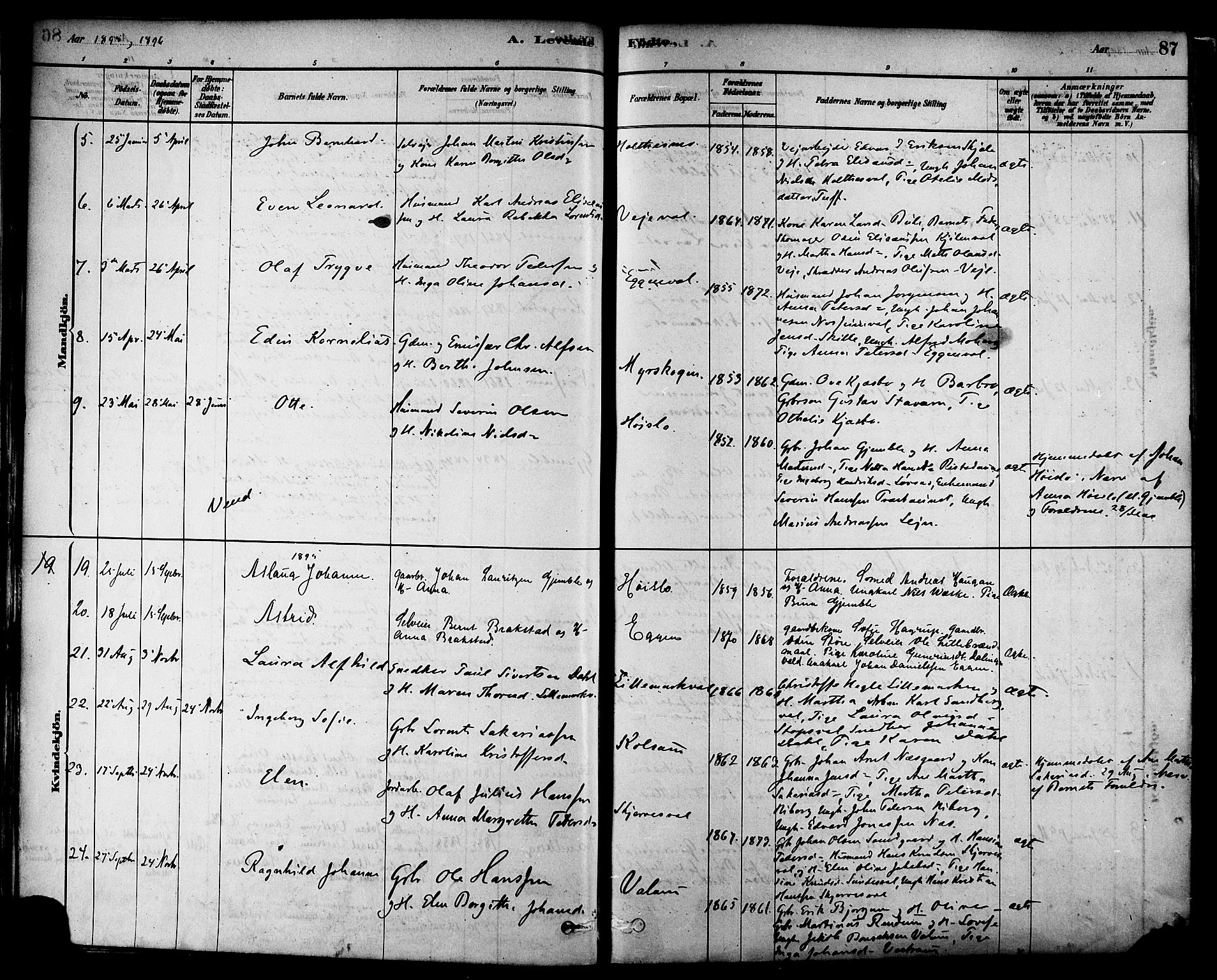 Ministerialprotokoller, klokkerbøker og fødselsregistre - Nord-Trøndelag, AV/SAT-A-1458/717/L0159: Parish register (official) no. 717A09, 1878-1898, p. 87