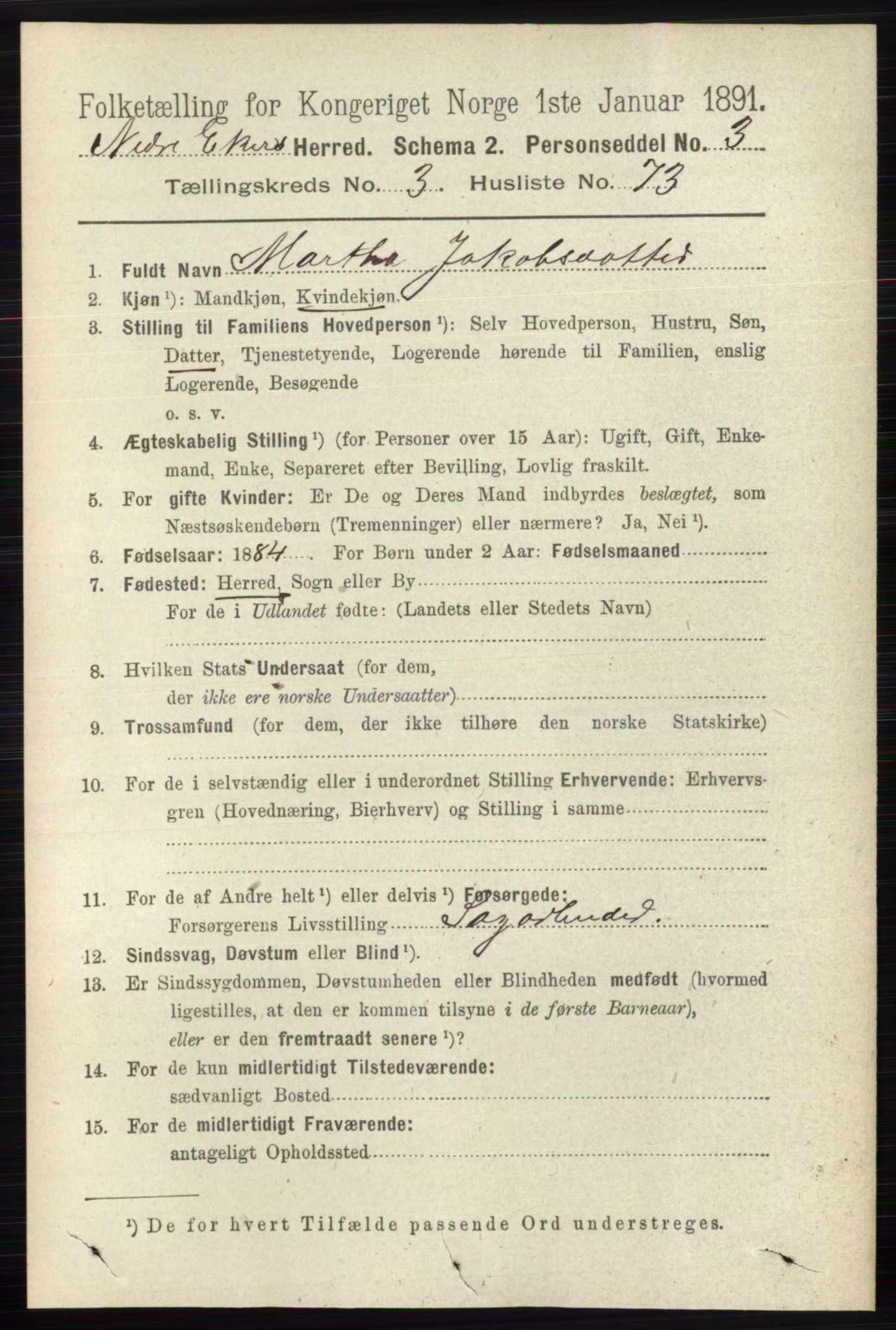 RA, 1891 census for 0625 Nedre Eiker, 1891, p. 1586