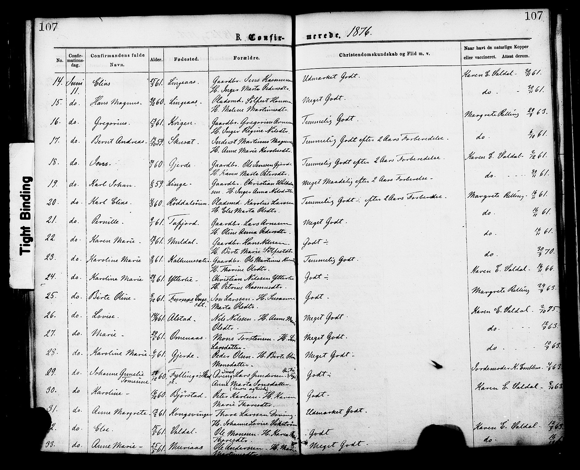 Ministerialprotokoller, klokkerbøker og fødselsregistre - Møre og Romsdal, AV/SAT-A-1454/519/L0254: Parish register (official) no. 519A13, 1868-1883, p. 107