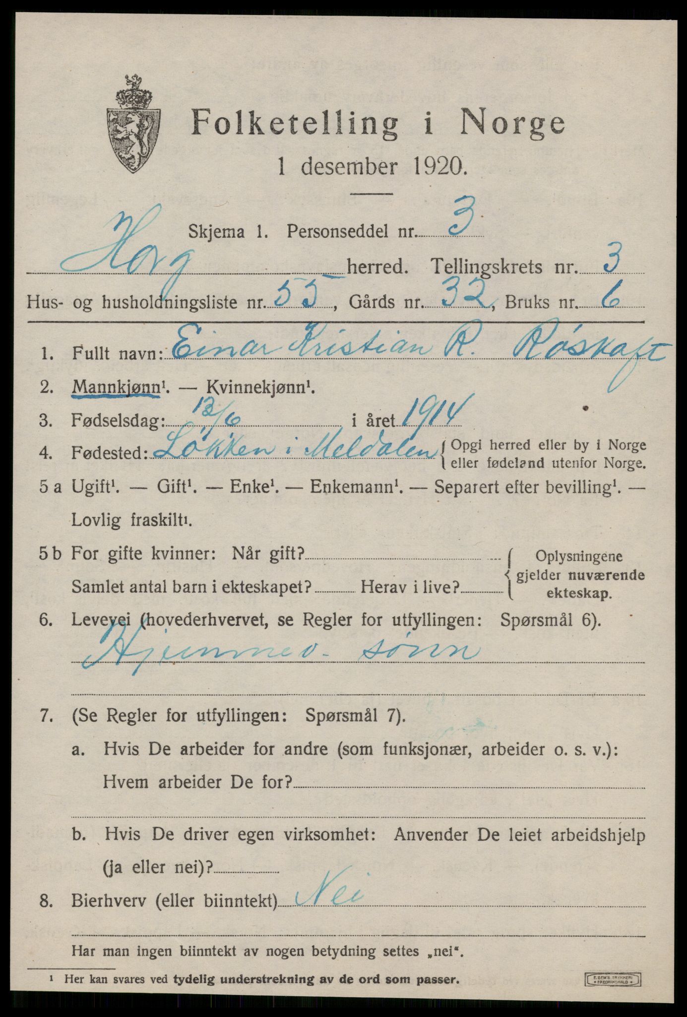 SAT, 1920 census for Horg, 1920, p. 3038