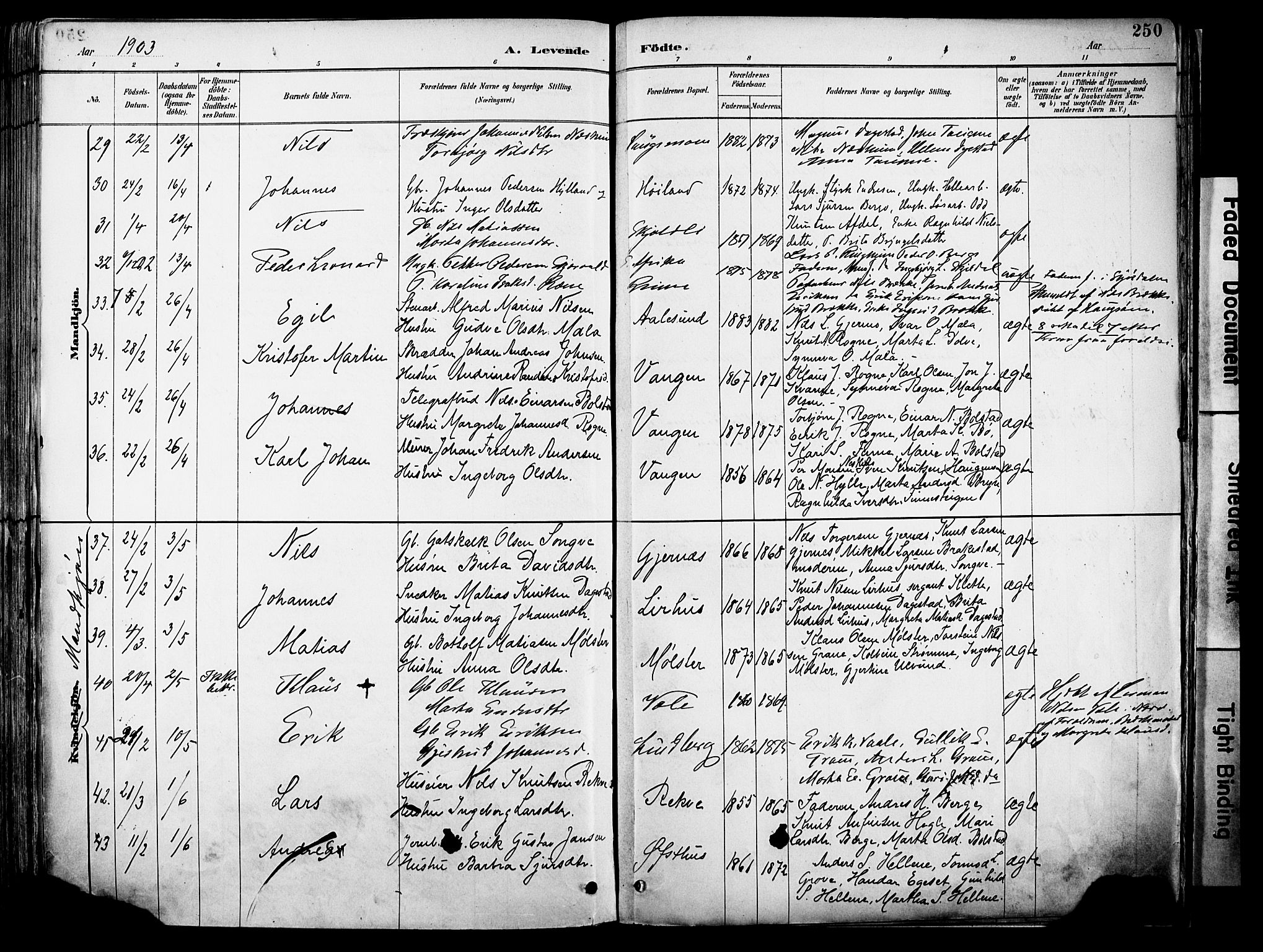 Voss sokneprestembete, SAB/A-79001/H/Haa: Parish register (official) no. A 21, 1887-1903, p. 250