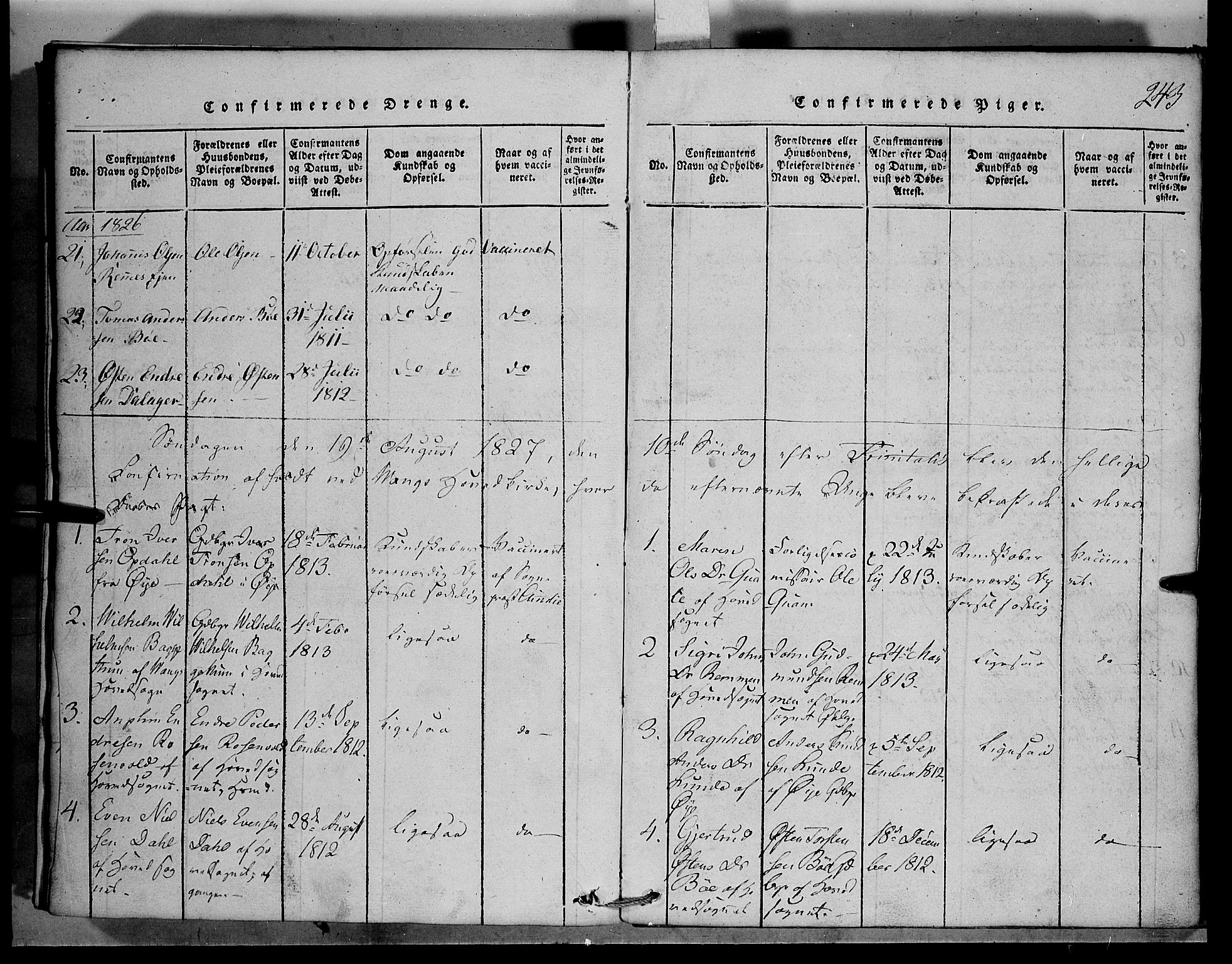 Vang prestekontor, Valdres, SAH/PREST-140/H/Hb/L0001: Parish register (copy) no. 1, 1814-1820, p. 243
