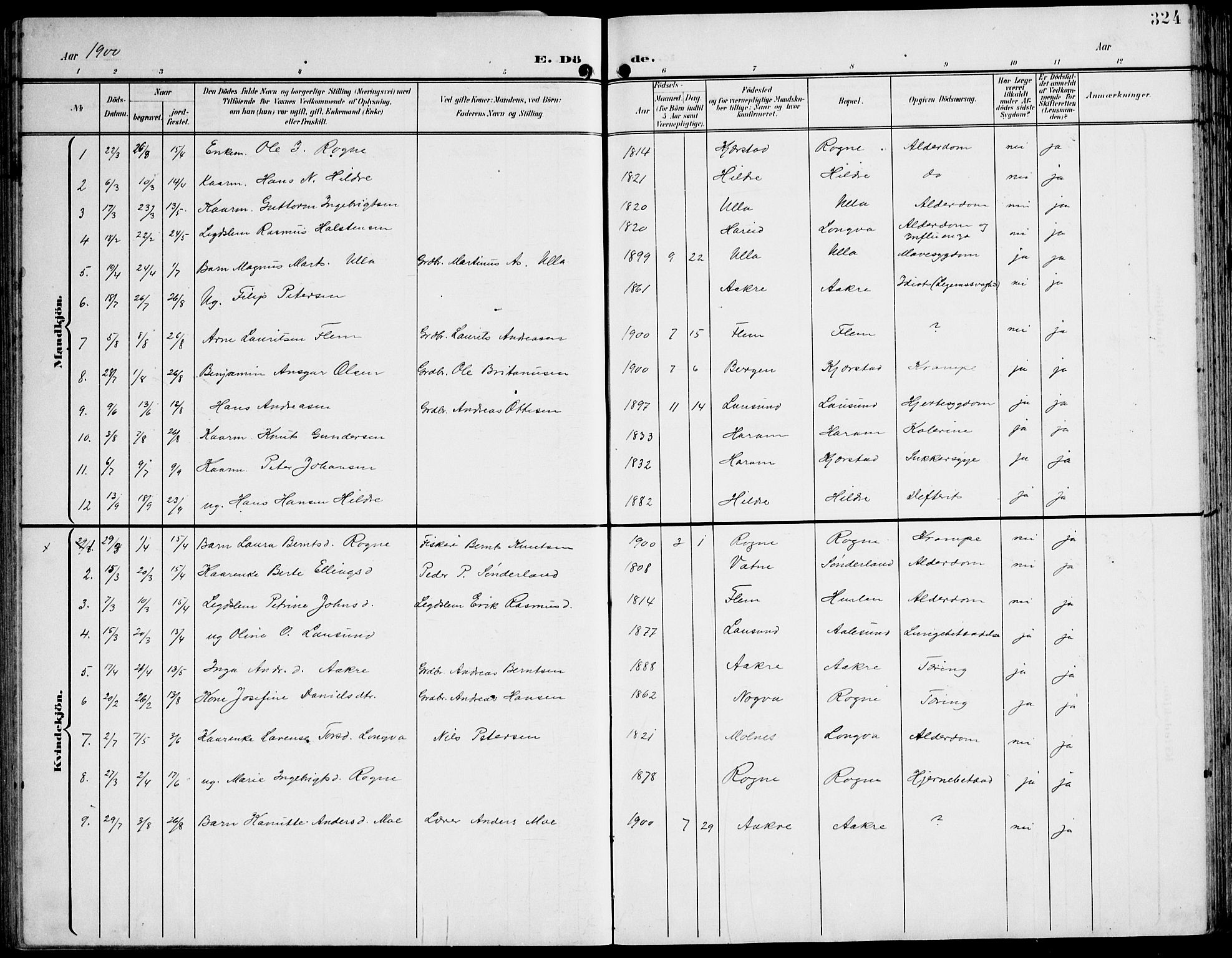 Ministerialprotokoller, klokkerbøker og fødselsregistre - Møre og Romsdal, AV/SAT-A-1454/536/L0511: Parish register (copy) no. 536C06, 1899-1944, p. 324