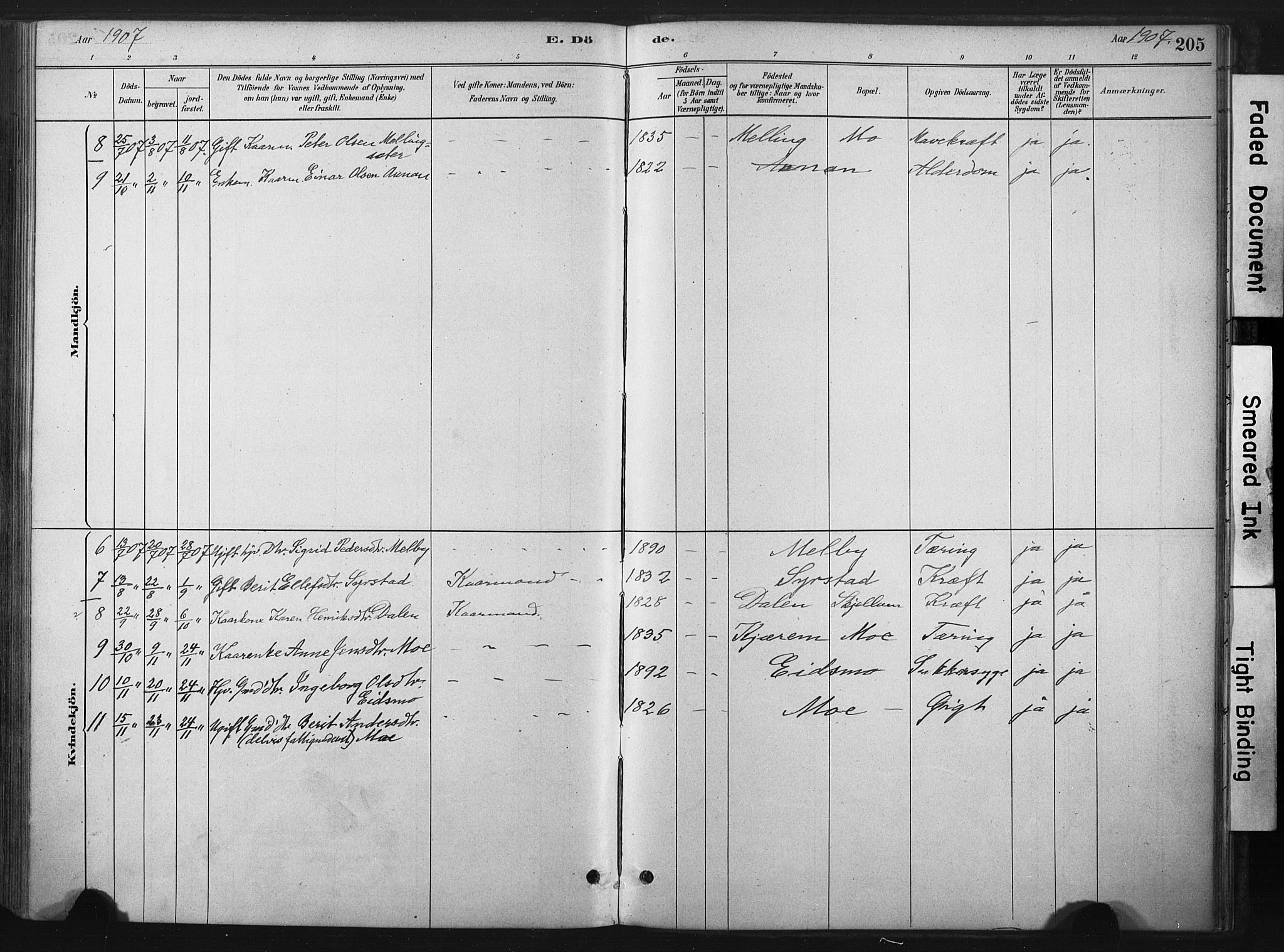 Ministerialprotokoller, klokkerbøker og fødselsregistre - Sør-Trøndelag, AV/SAT-A-1456/667/L0795: Parish register (official) no. 667A03, 1879-1907, p. 205
