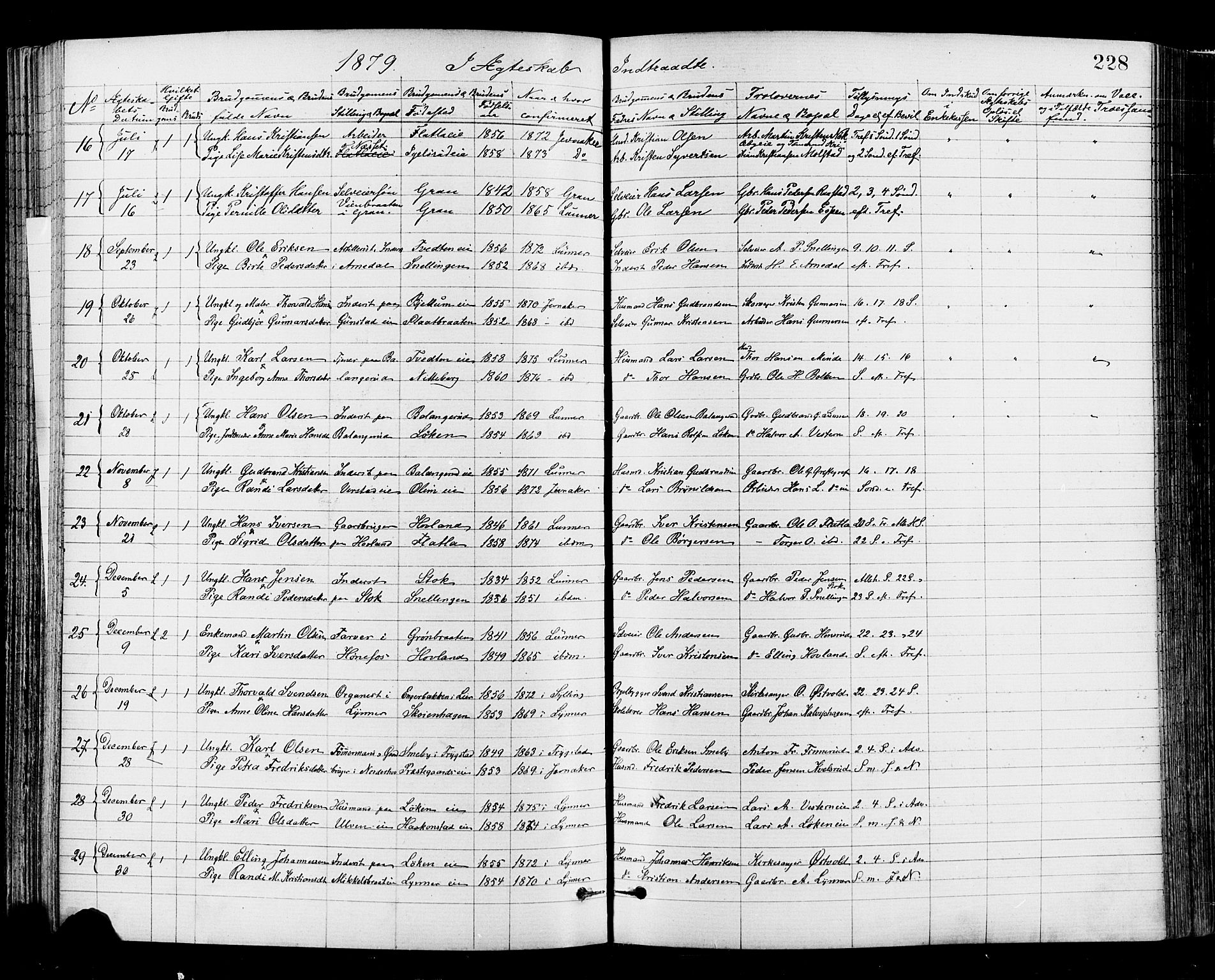 Jevnaker prestekontor, AV/SAH-PREST-116/H/Ha/Haa/L0008: Parish register (official) no. 8, 1877-1890, p. 228