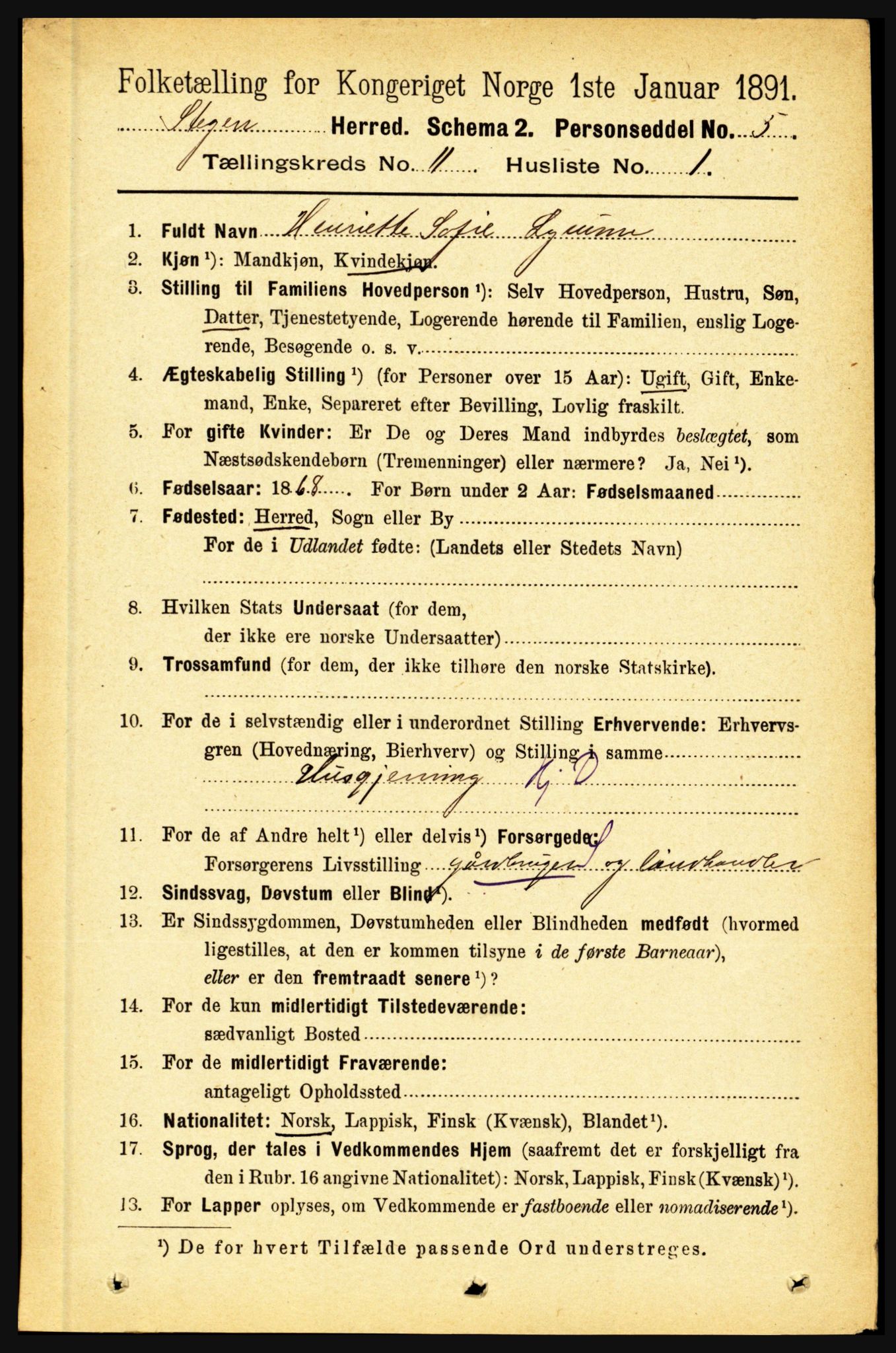 RA, 1891 census for 1848 Steigen, 1891, p. 3787