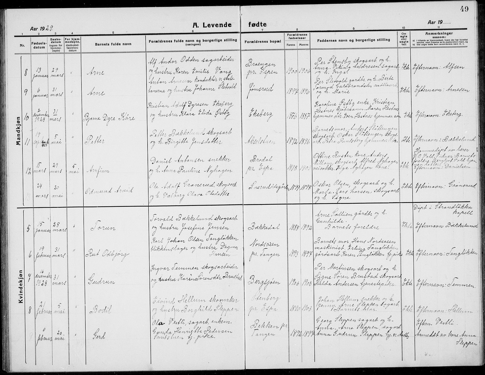 Stange prestekontor, AV/SAH-PREST-002/L/L0017: Parish register (copy) no. 17, 1918-1936, p. 49