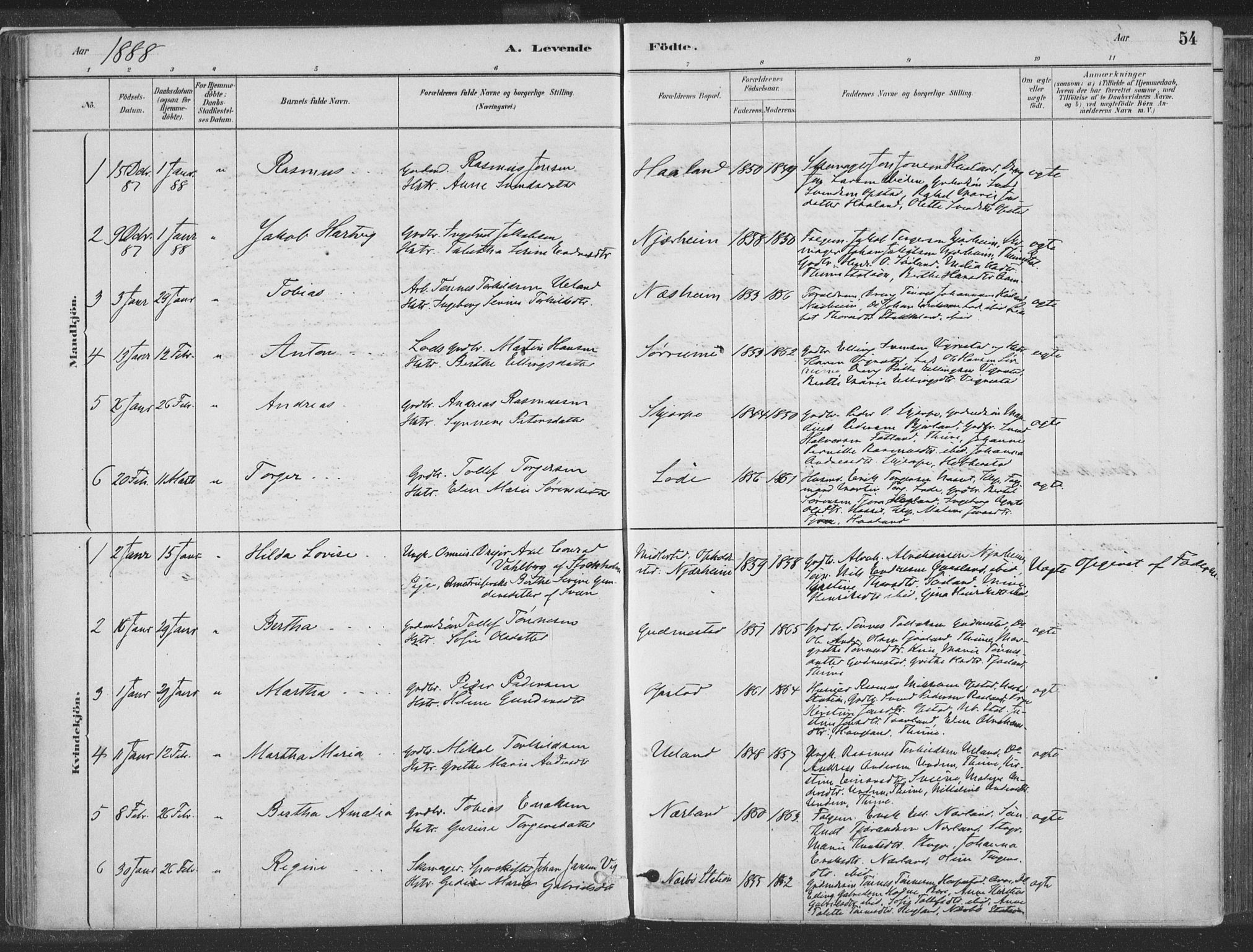 Hå sokneprestkontor, SAST/A-101801/001/30BA/L0010: Parish register (official) no. A 9, 1879-1896, p. 54