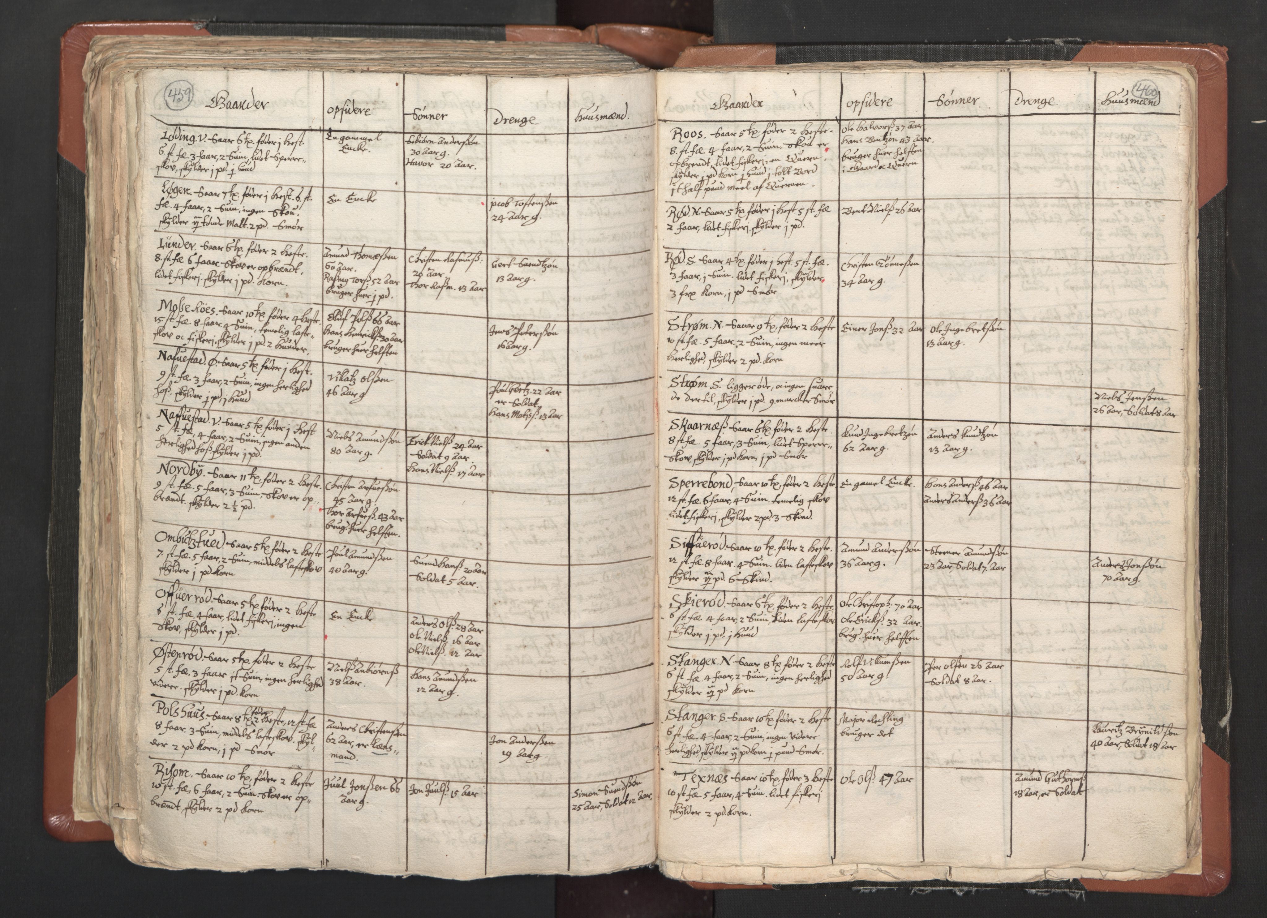RA, Vicar's Census 1664-1666, no. 1: Nedre Borgesyssel deanery, 1664-1666, p. 459-460