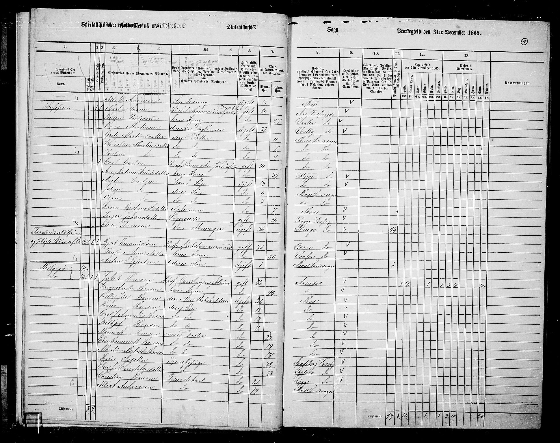 RA, 1865 census for Moss/Moss, 1865, p. 10