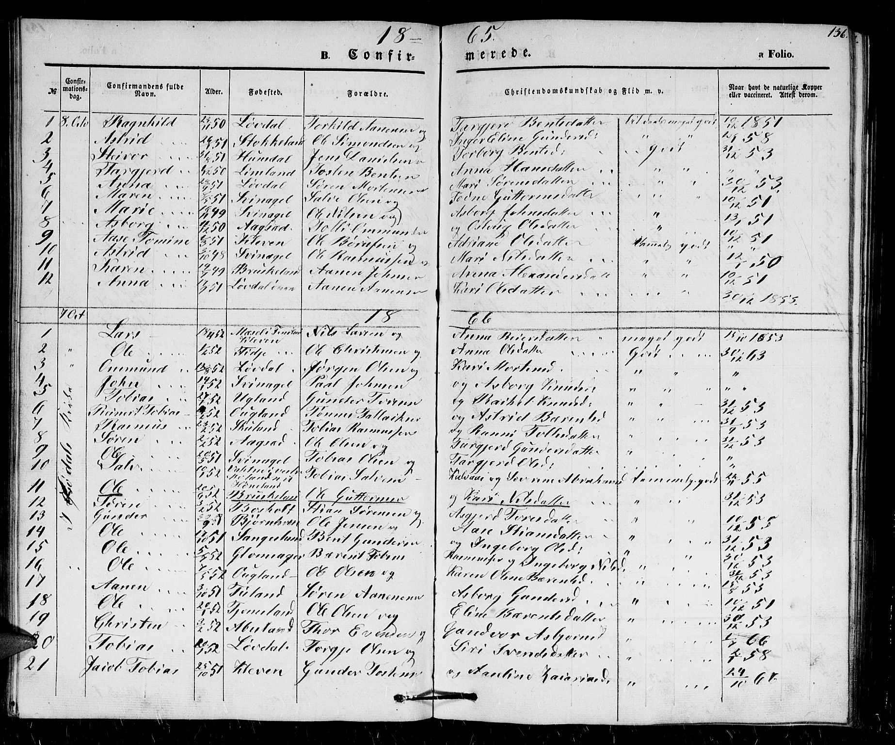 Holum sokneprestkontor, SAK/1111-0022/F/Fb/Fbb/L0002: Parish register (copy) no. B 2, 1847-1874, p. 136