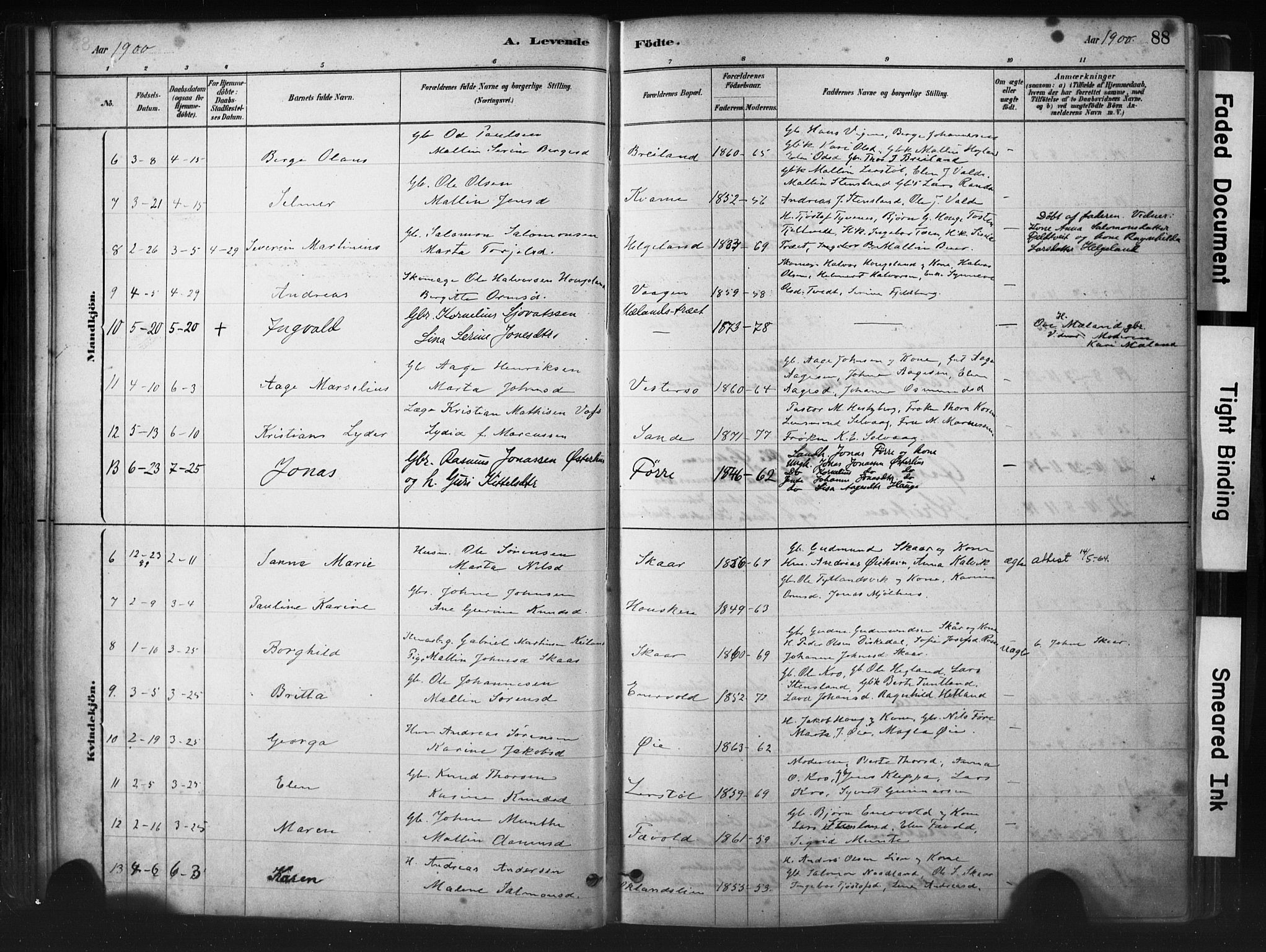 Hjelmeland sokneprestkontor, AV/SAST-A-101843/01/IV/L0014: Parish register (official) no. A 14, 1879-1900, p. 88