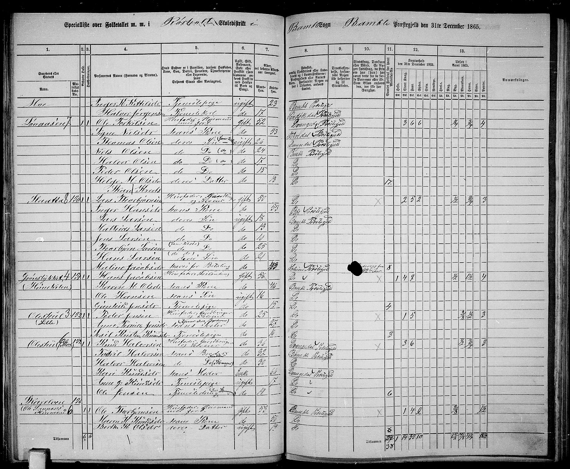 RA, 1865 census for Bamble, 1865, p. 91