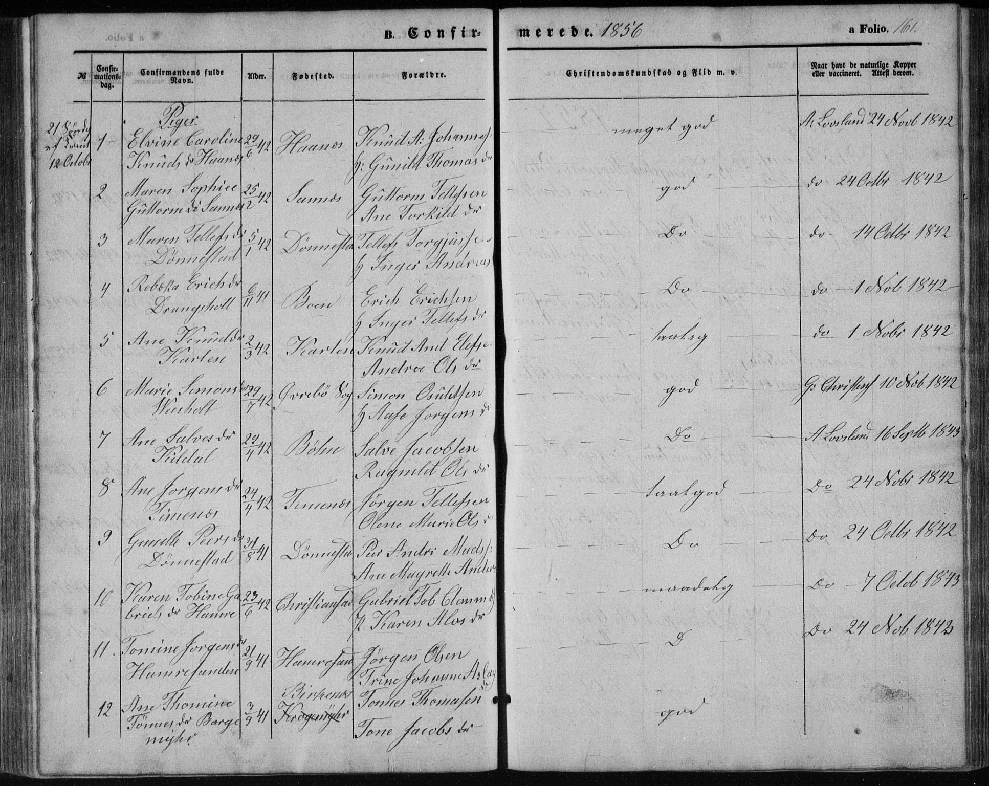 Tveit sokneprestkontor, AV/SAK-1111-0043/F/Fb/L0003: Parish register (copy) no. B 3, 1854-1886, p. 161