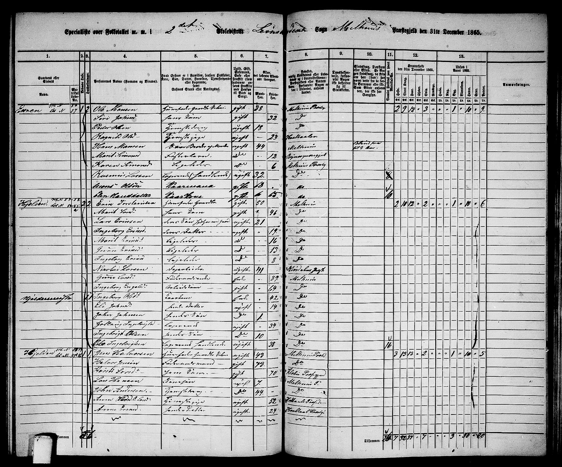 RA, 1865 census for Melhus, 1865, p. 224