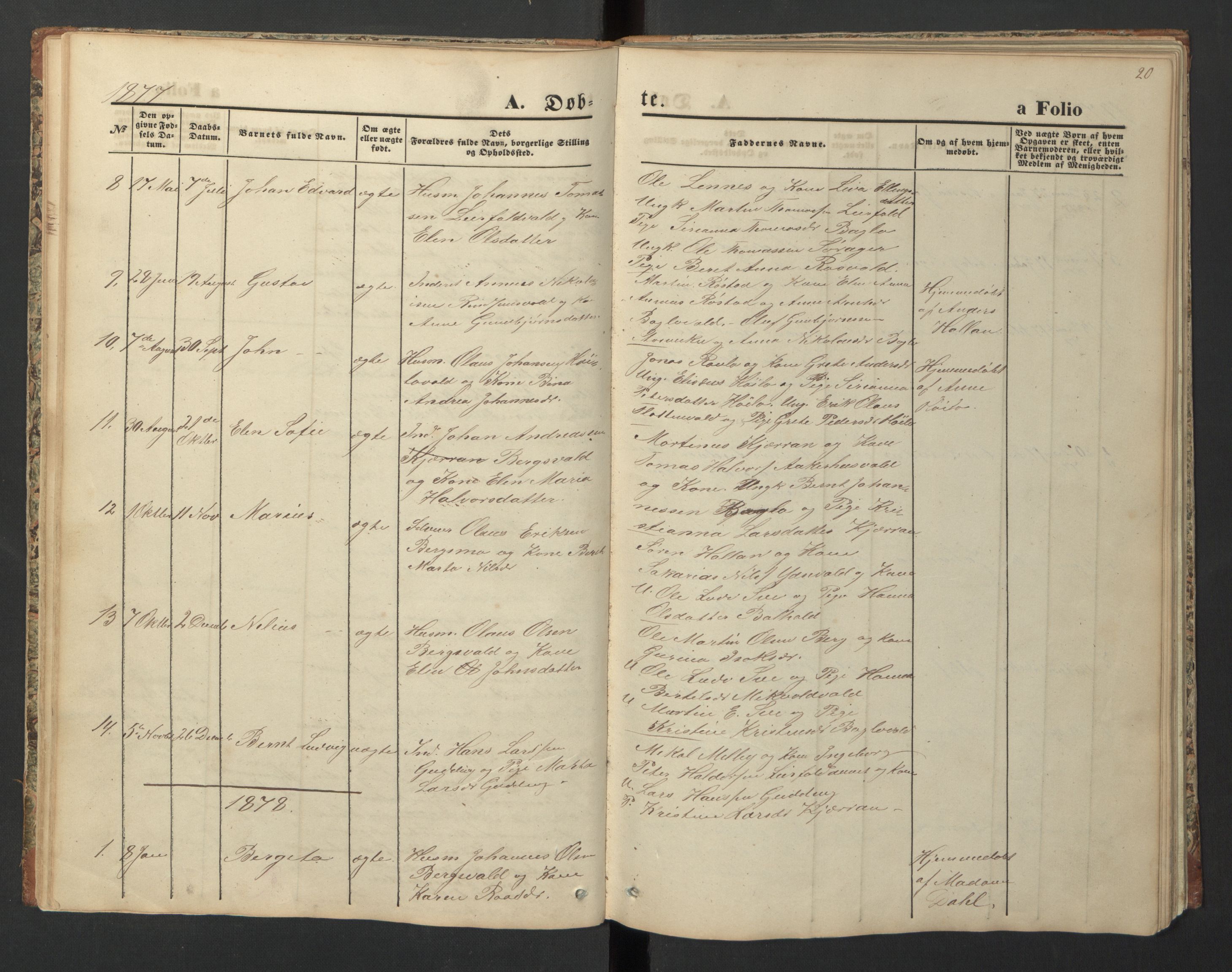 Ministerialprotokoller, klokkerbøker og fødselsregistre - Nord-Trøndelag, SAT/A-1458/726/L0271: Parish register (copy) no. 726C02, 1869-1897, p. 20