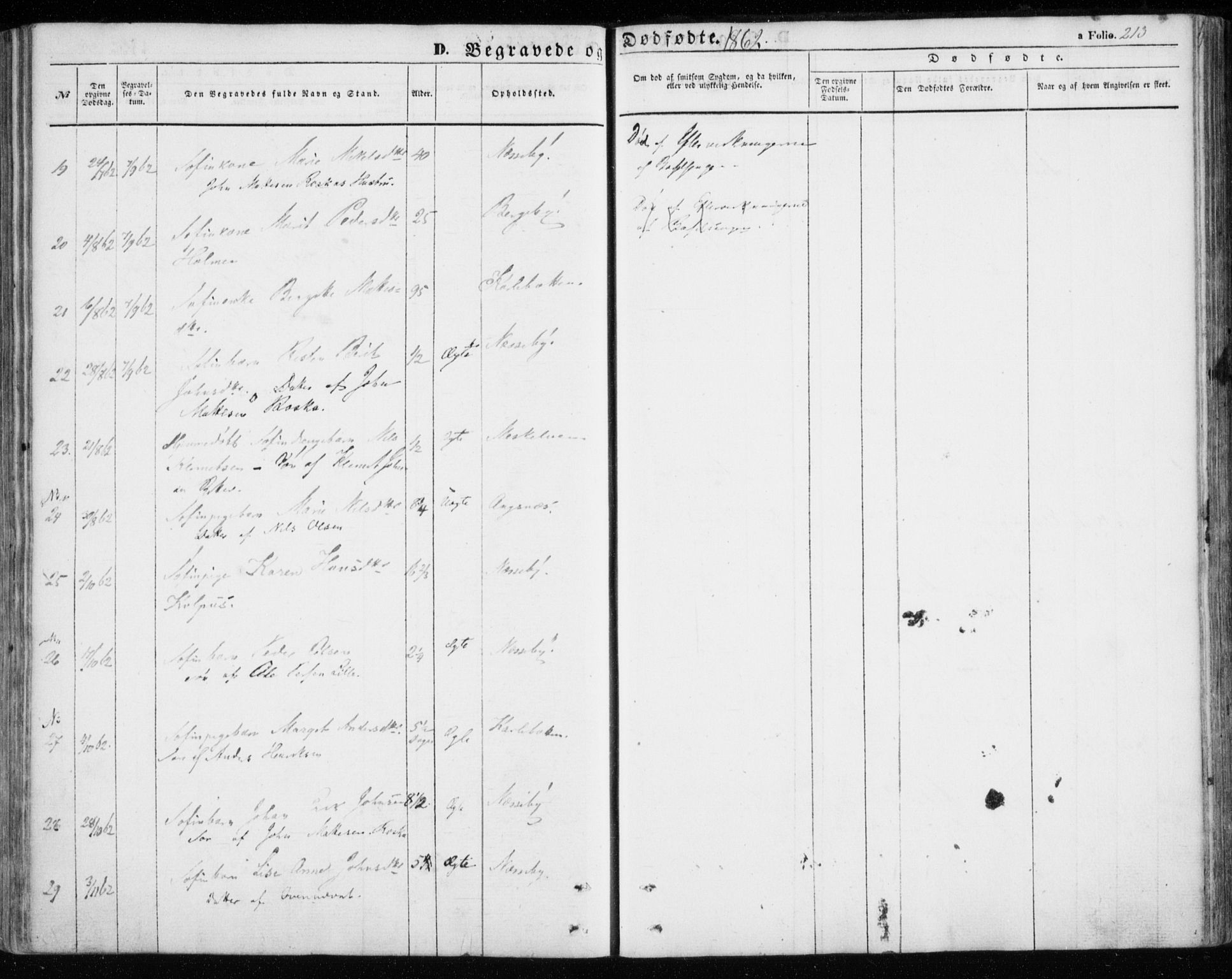 Nesseby sokneprestkontor, SATØ/S-1330/H/Ha/L0002kirke: Parish register (official) no. 2, 1856-1864, p. 213