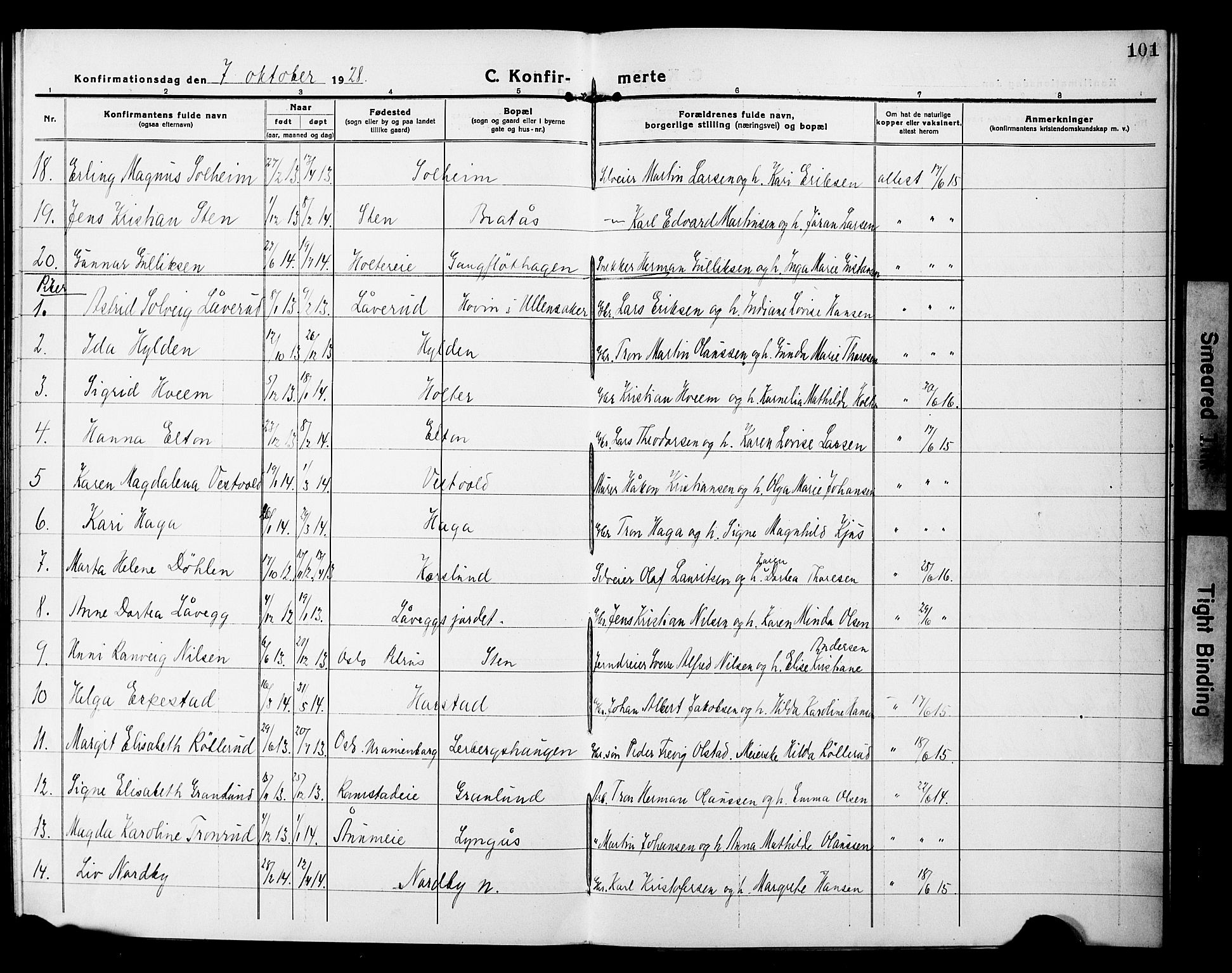Nannestad prestekontor Kirkebøker, AV/SAO-A-10414a/G/Gb/L0002: Parish register (copy) no. II 2, 1918-1929, p. 101