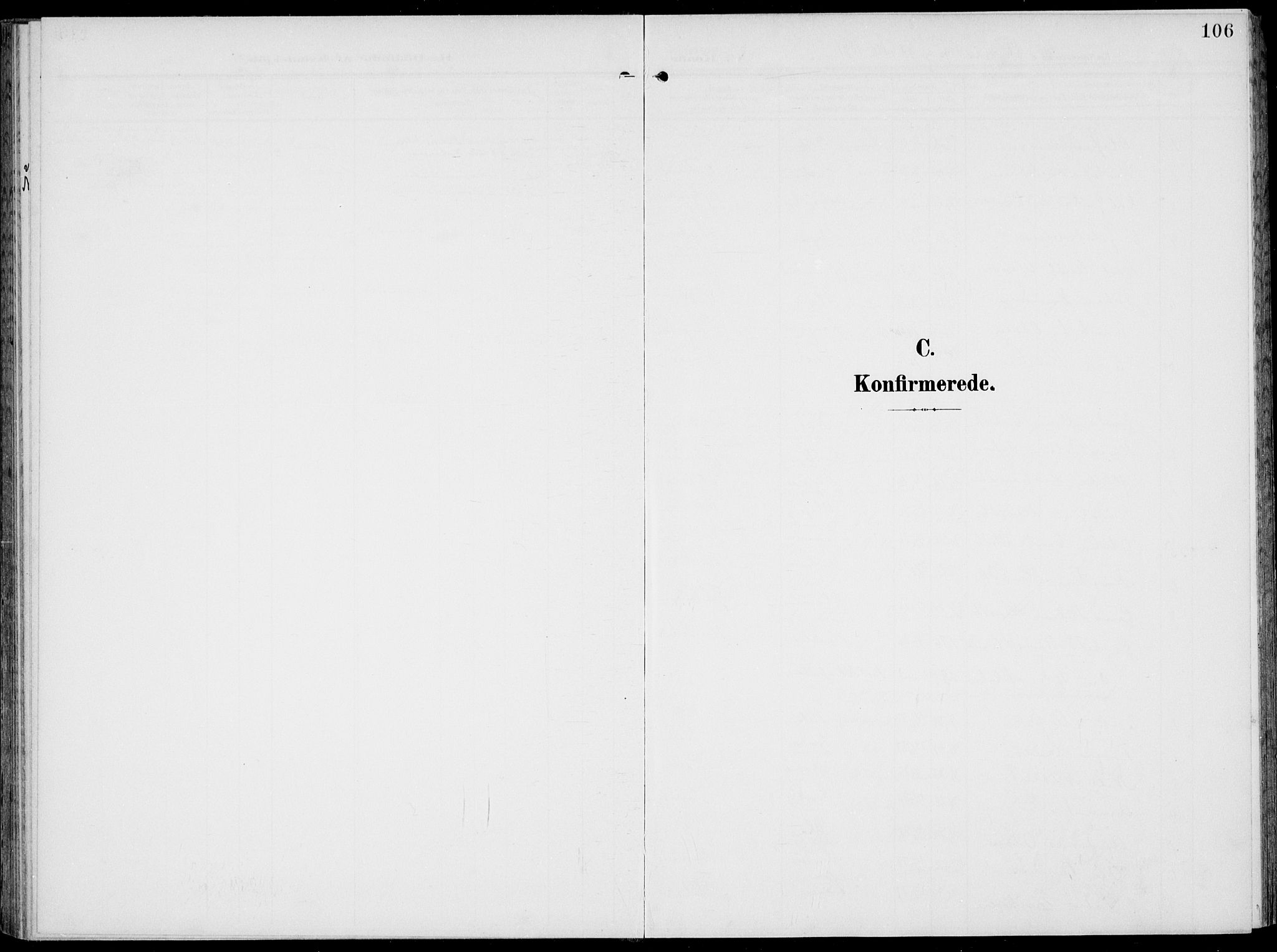 Modum kirkebøker, SAKO/A-234/F/Fa/L0019: Parish register (official) no. 19, 1890-1914, p. 106