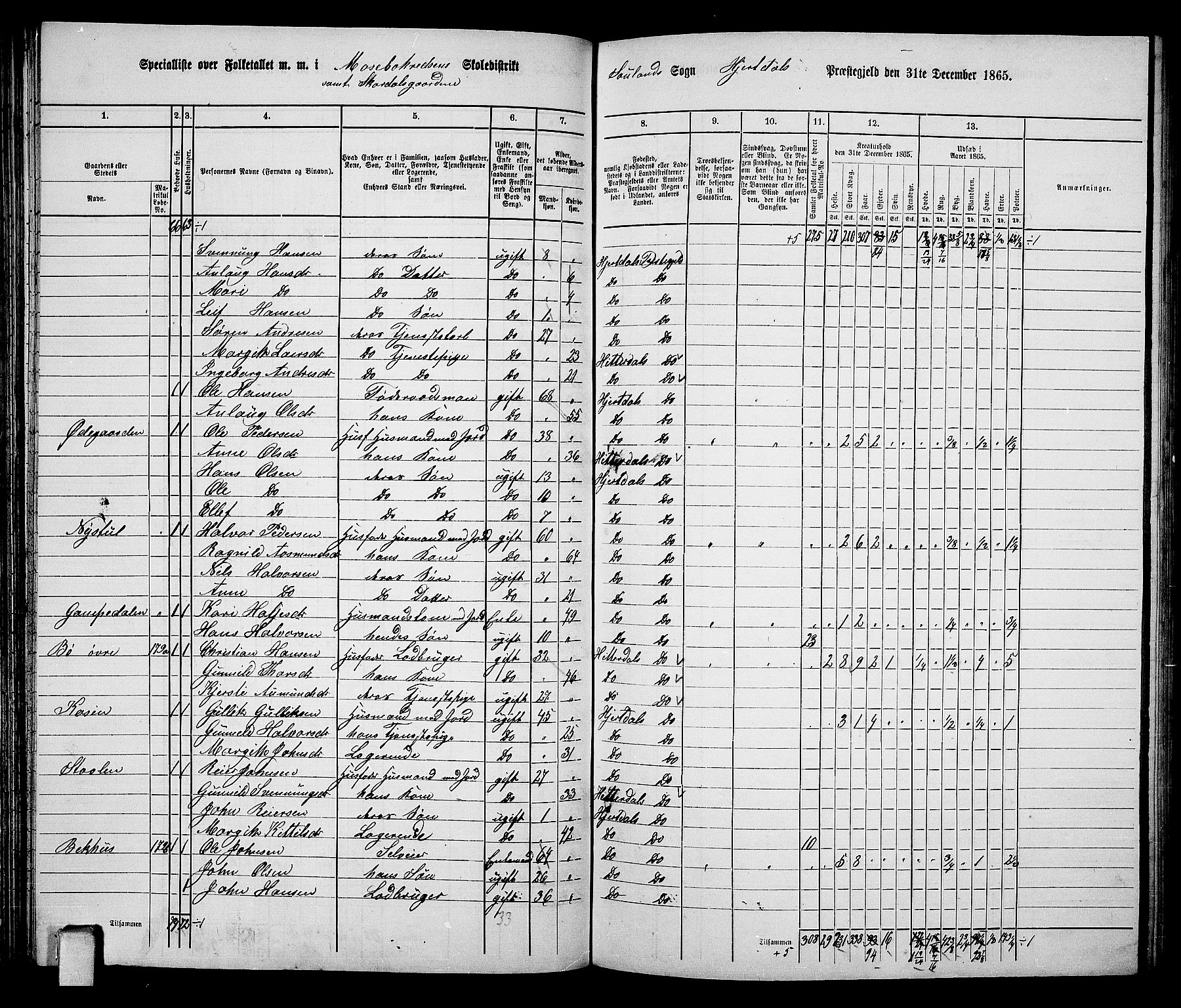 RA, 1865 census for Hjartdal, 1865, p. 72