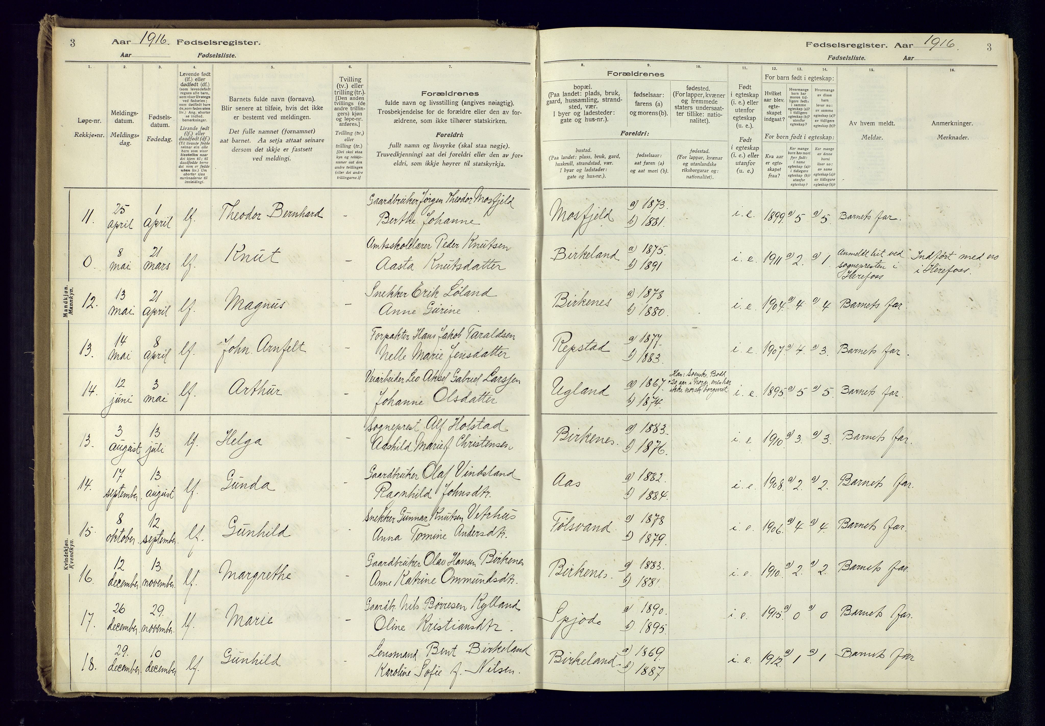 Birkenes sokneprestkontor, AV/SAK-1111-0004/J/Ja/L0001: Birth register no. II.6.4, 1916-1962, p. 3