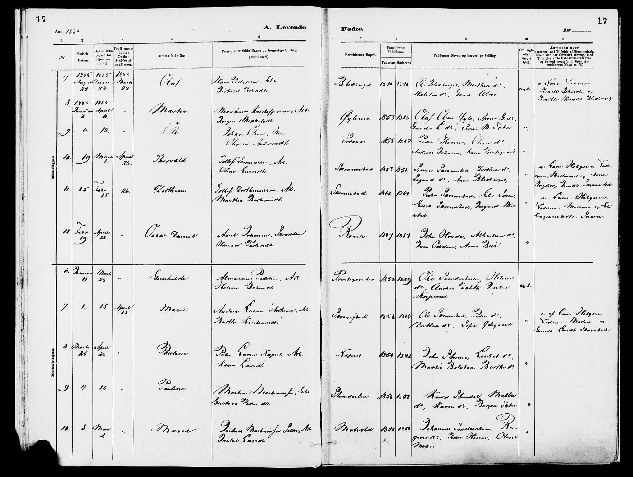 Åmot prestekontor, Hedmark, SAH/PREST-056/H/Ha/Haa/L0010: Parish register (official) no. 10, 1884-1889, p. 17