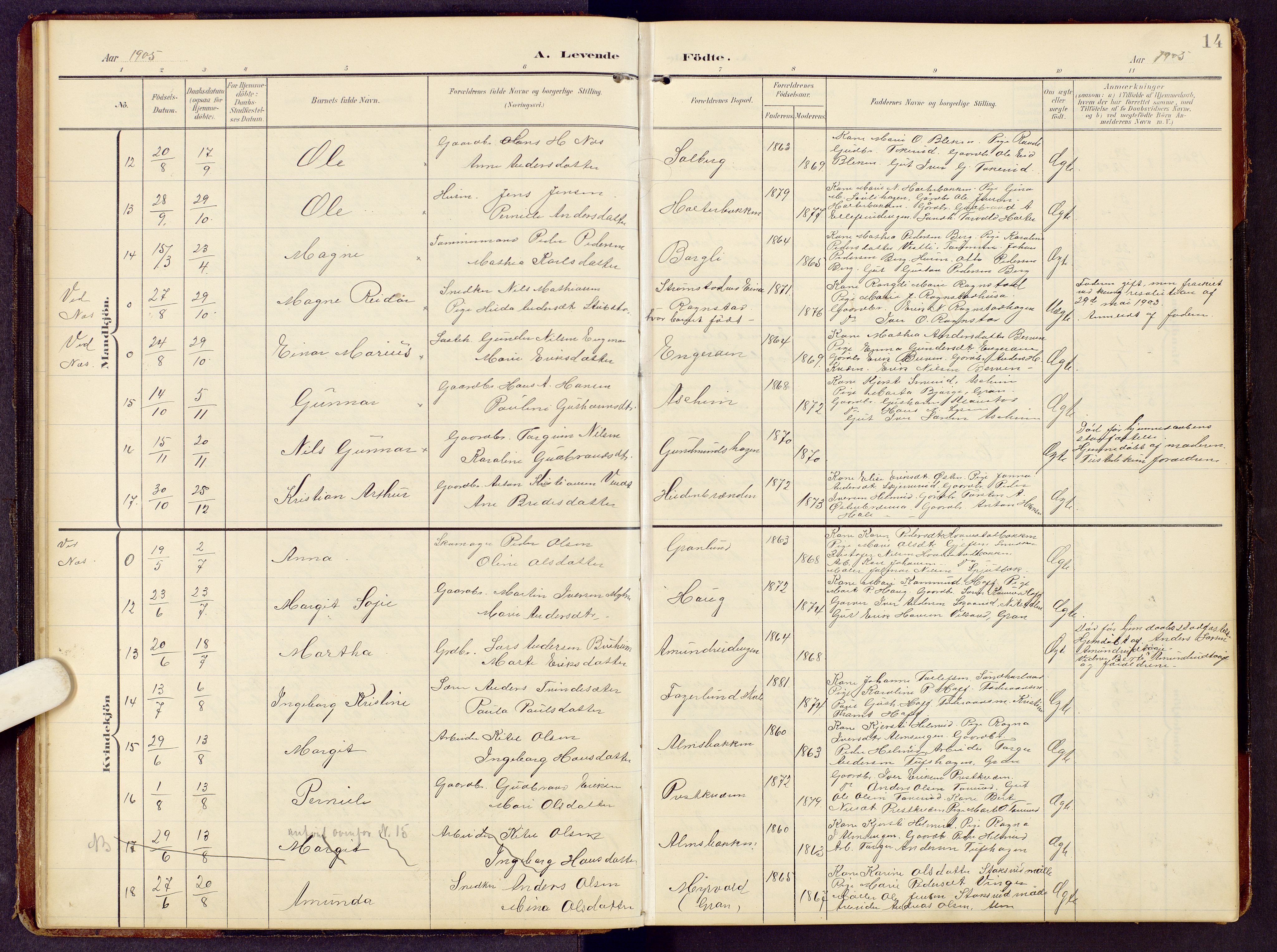 Brandbu prestekontor, SAH/PREST-114/H/Ha/Hab/L0009: Parish register (copy) no. 9, 1903-1916, p. 14