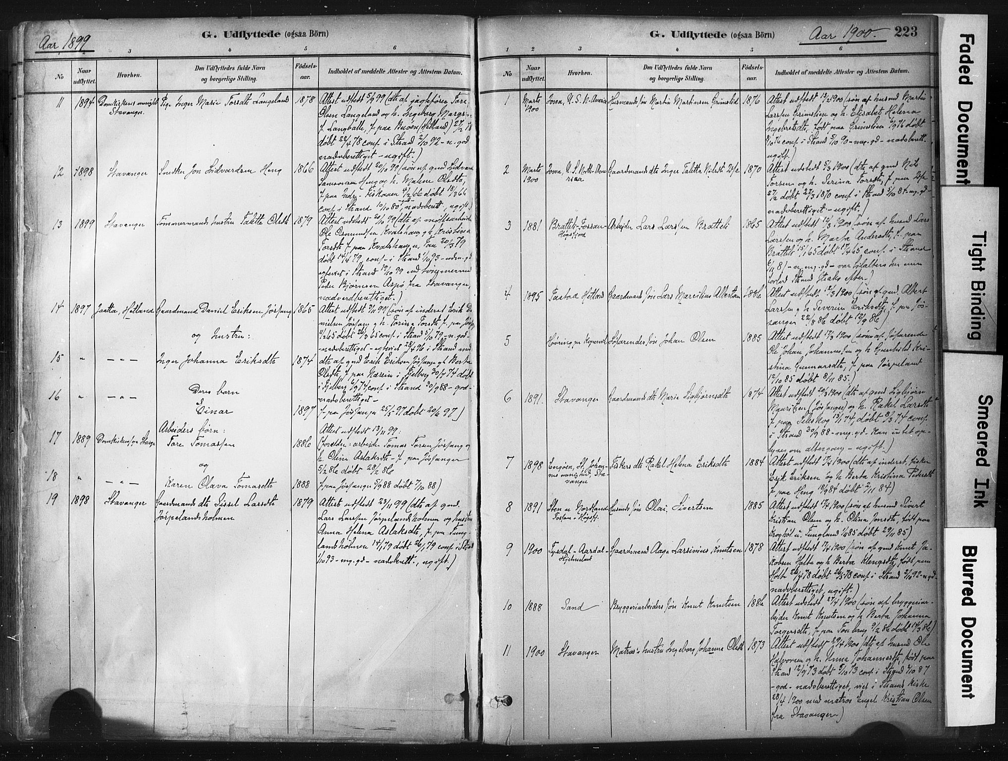 Strand sokneprestkontor, SAST/A-101828/H/Ha/Haa/L0010: Parish register (official) no. A 10, 1882-1929, p. 223