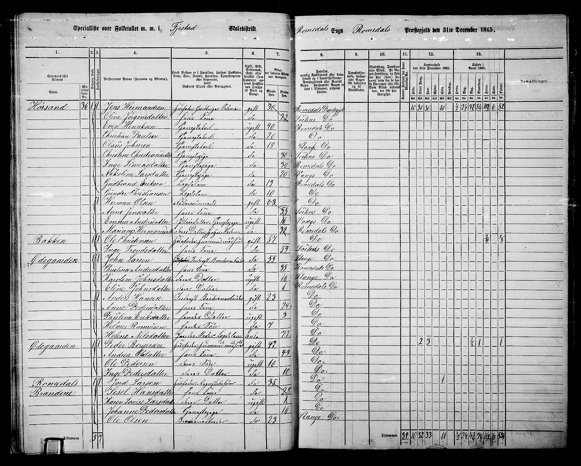 RA, 1865 census for Romedal, 1865, p. 29