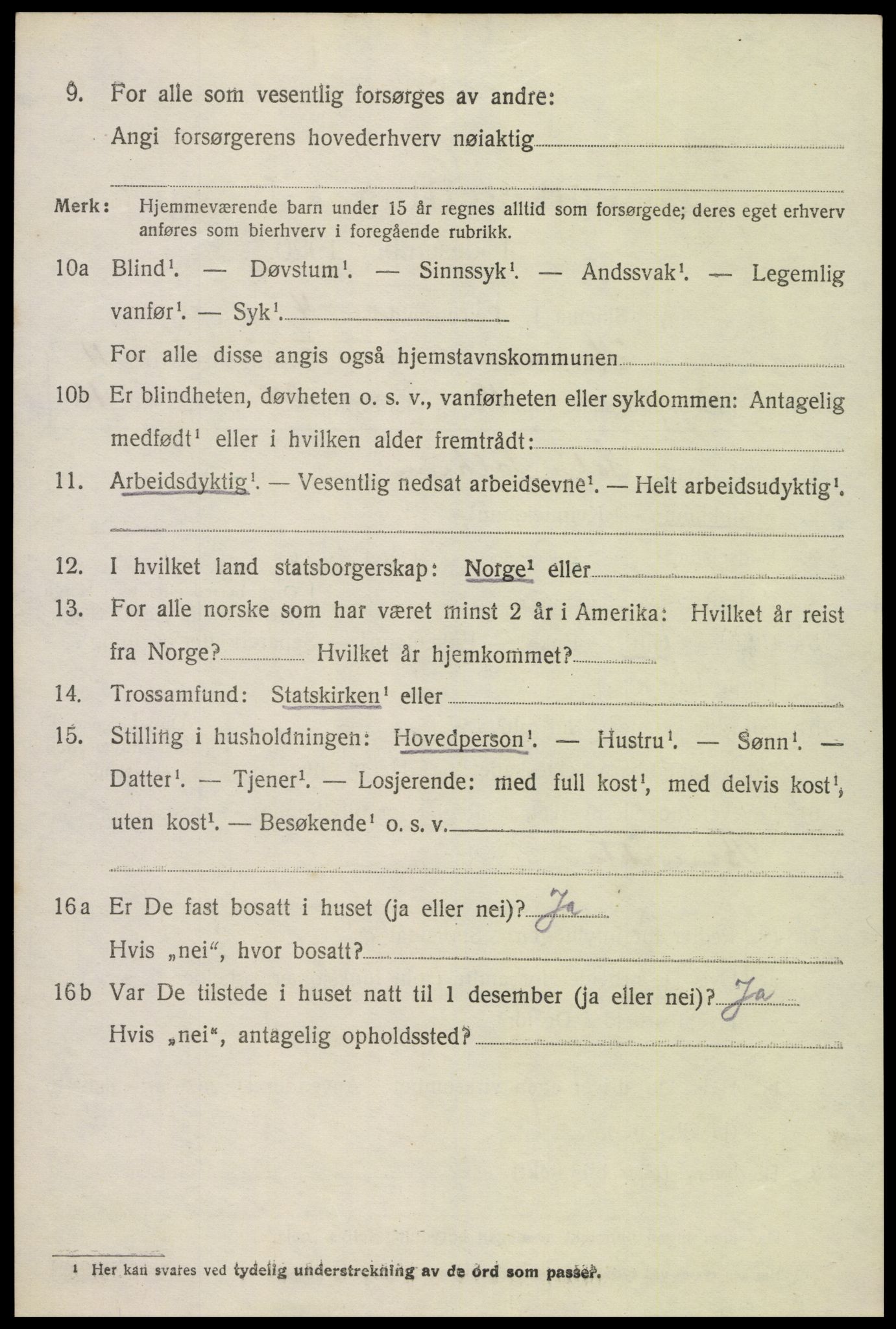 SAK, 1920 census for Hornnes, 1920, p. 2870