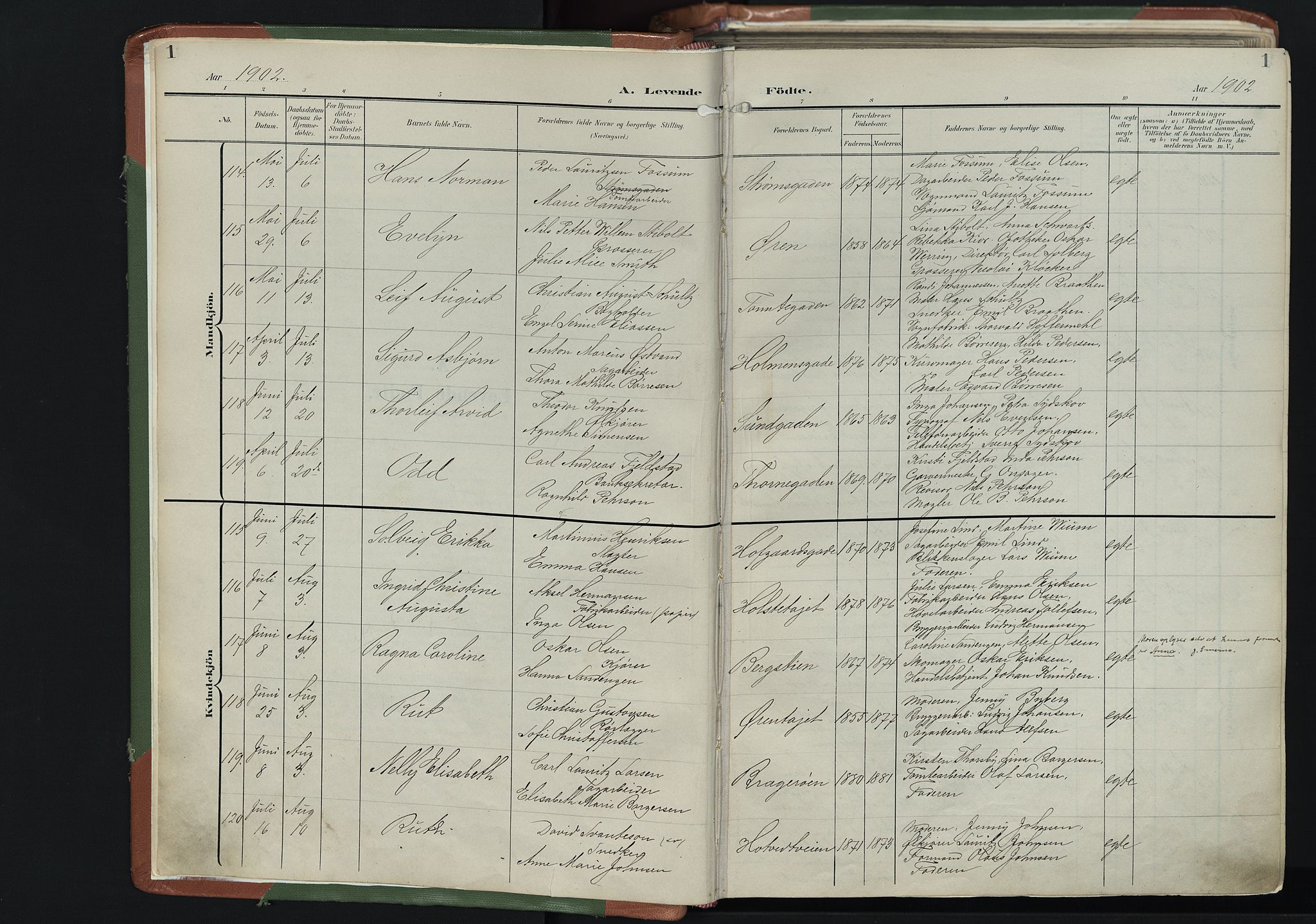 Bragernes kirkebøker, AV/SAKO-A-6/F/Fb/L0009: Parish register (official) no. II 9, 1902-1911, p. 1