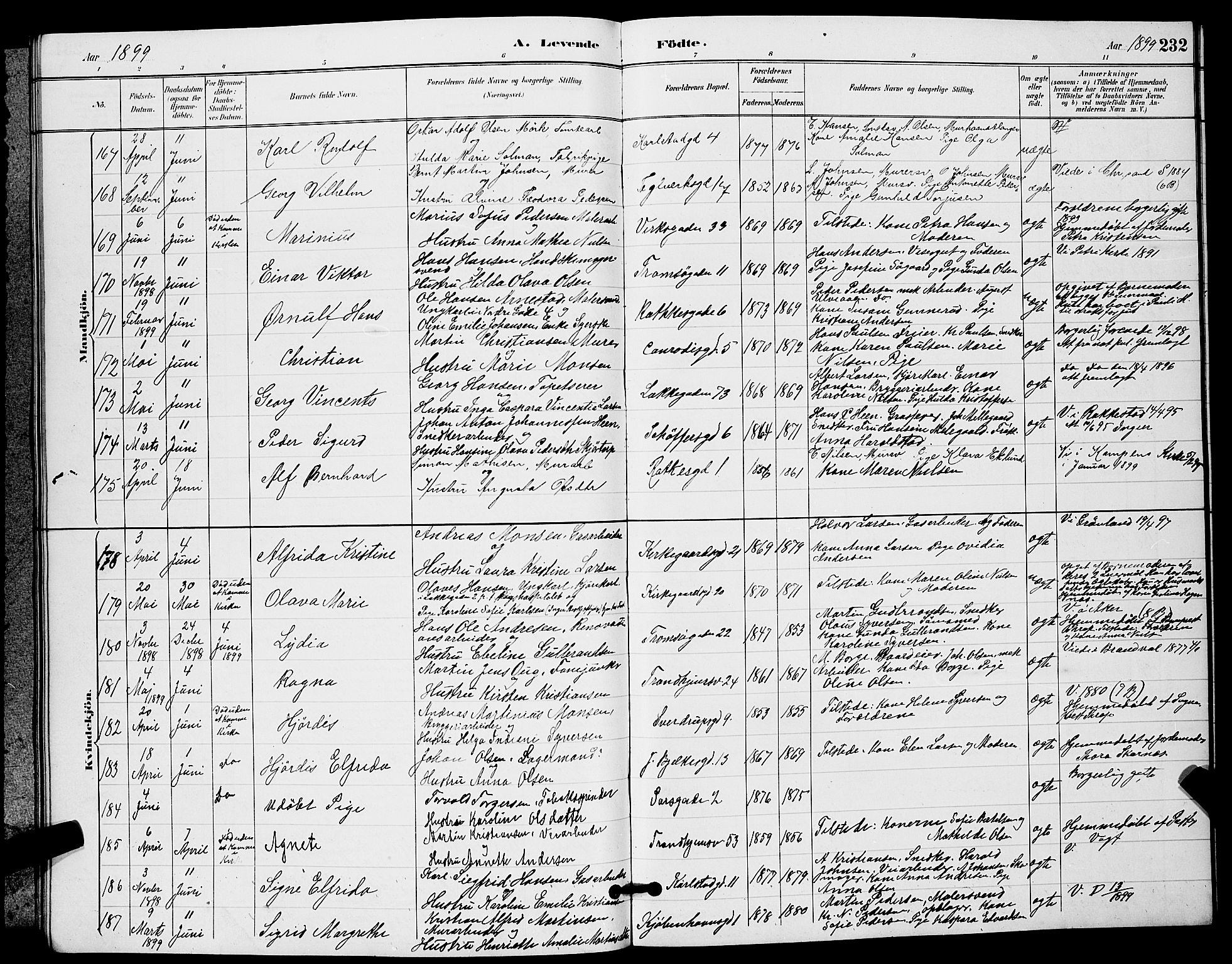 Petrus prestekontor Kirkebøker, AV/SAO-A-10872/G/Ga/L0002: Parish register (copy) no. 2, 1888-1899, p. 232