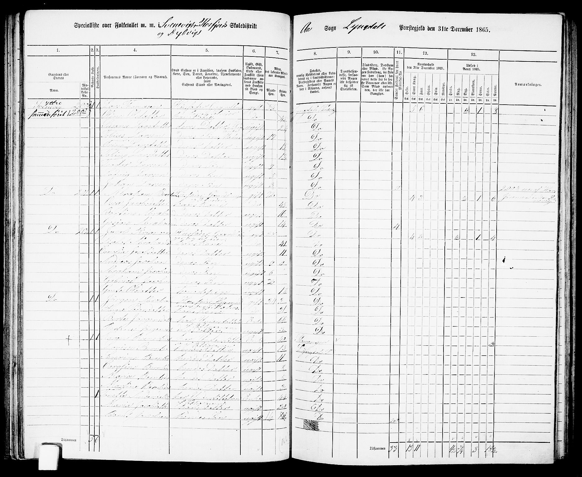 RA, 1865 census for Lyngdal, 1865, p. 88