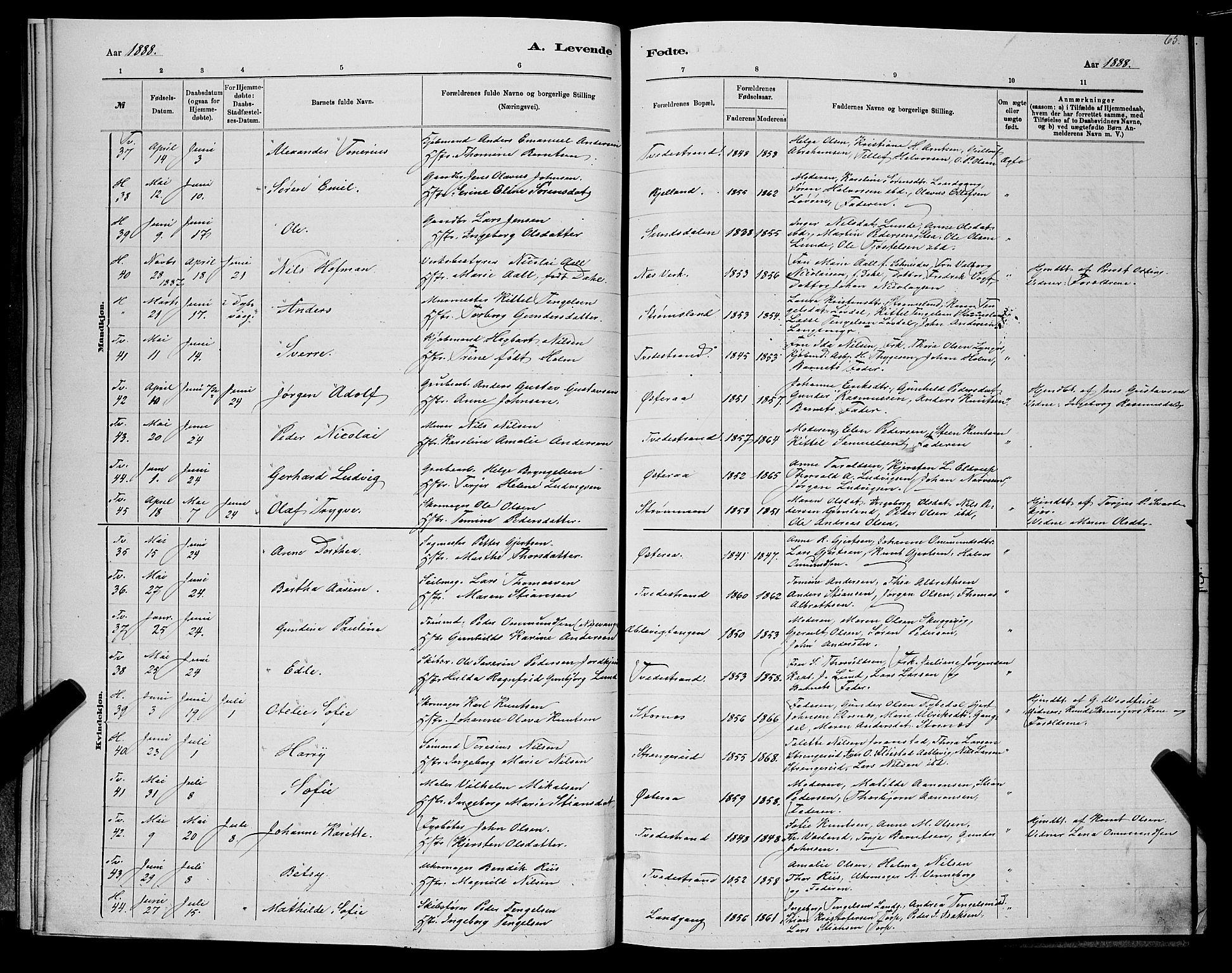 Holt sokneprestkontor, SAK/1111-0021/F/Fb/L0010: Parish register (copy) no. B 10, 1883-1896, p. 66