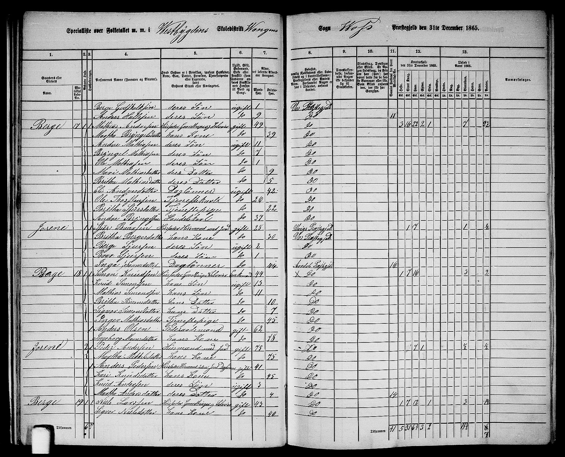 RA, 1865 census for Voss, 1865, p. 19